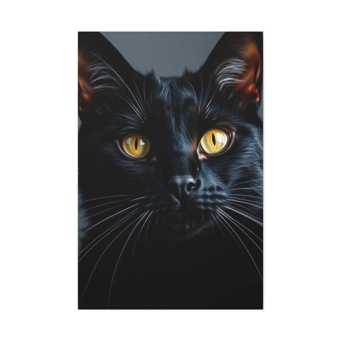 Supreme Black Cat Art Collection Wall Art & Canvas Print