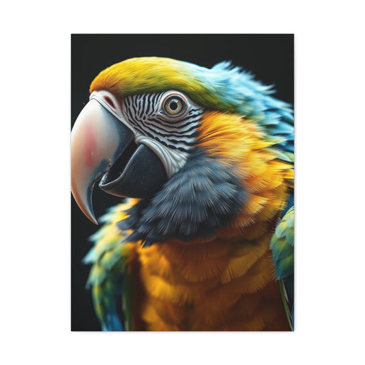 Parrot Art Refined Canvas Wall Art & Canvas Print