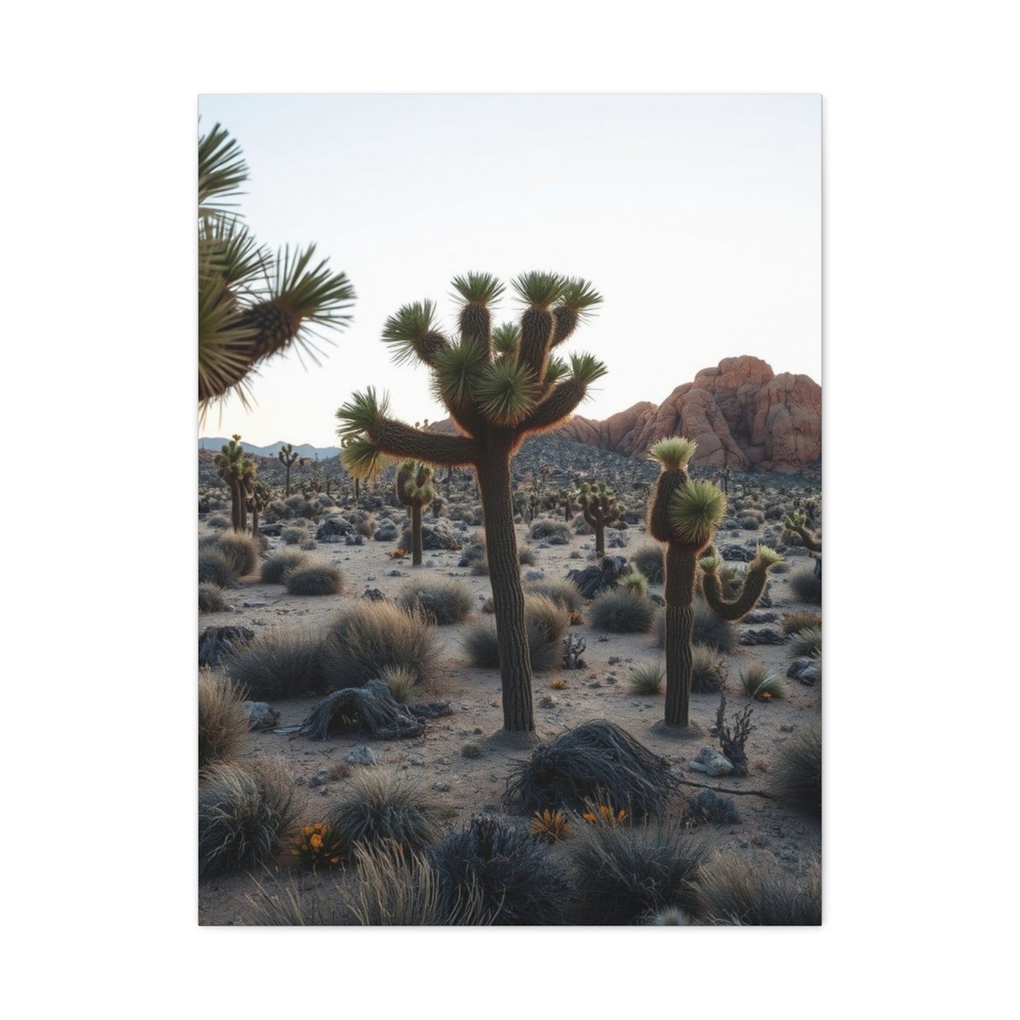 Joshua Tree National Park Art Refined Canvas Wall Art & Canvas Print