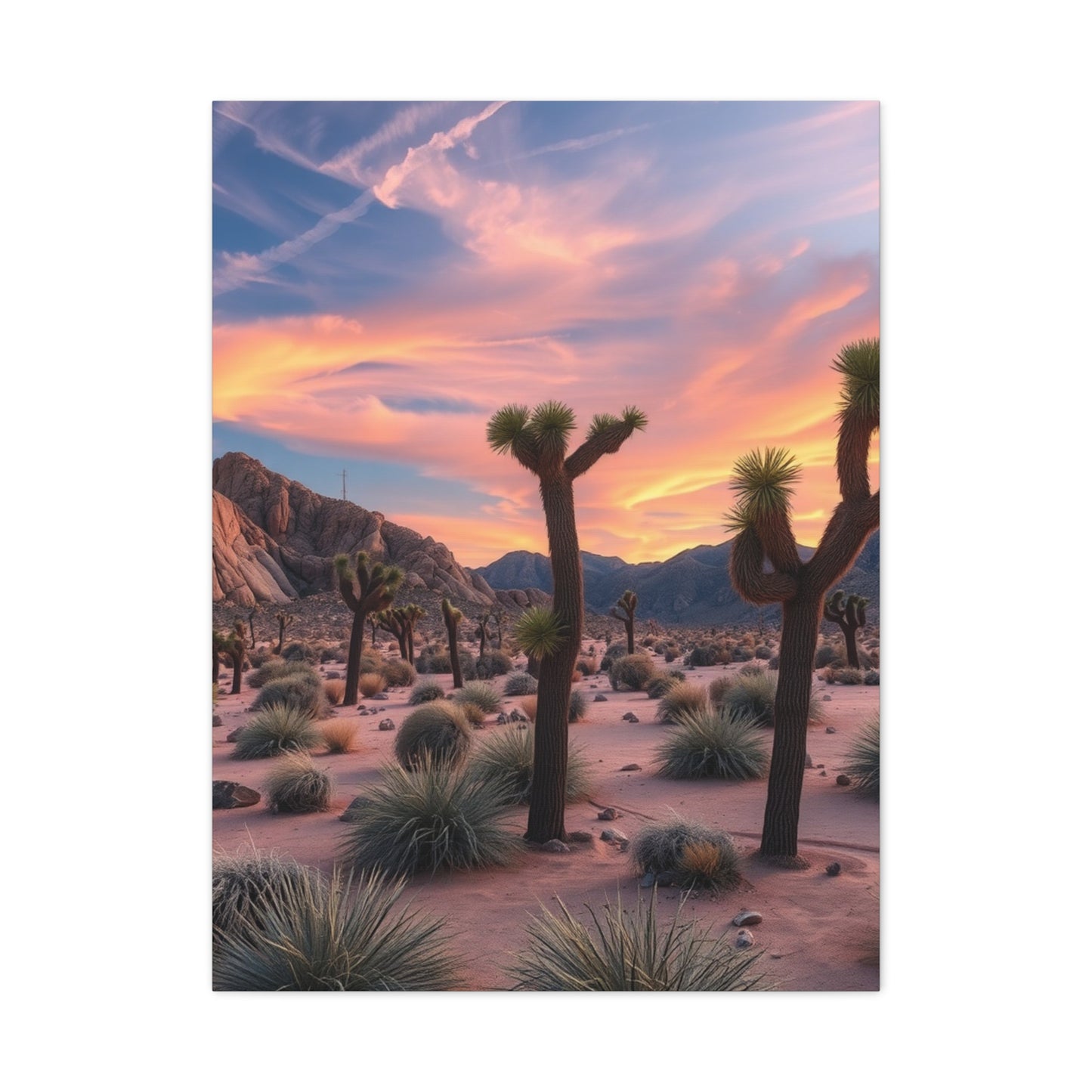 Supreme Joshua Tree National Park Art Collection Wall Art & Canvas Print