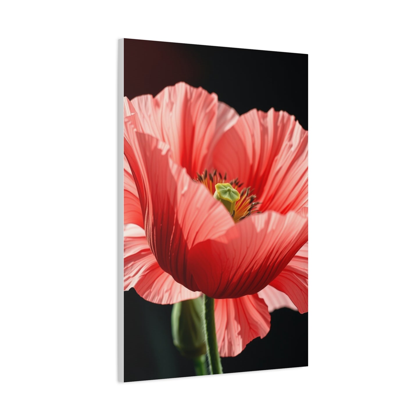Supreme Poppy Flower Art Collection Wall Art & Canvas Print