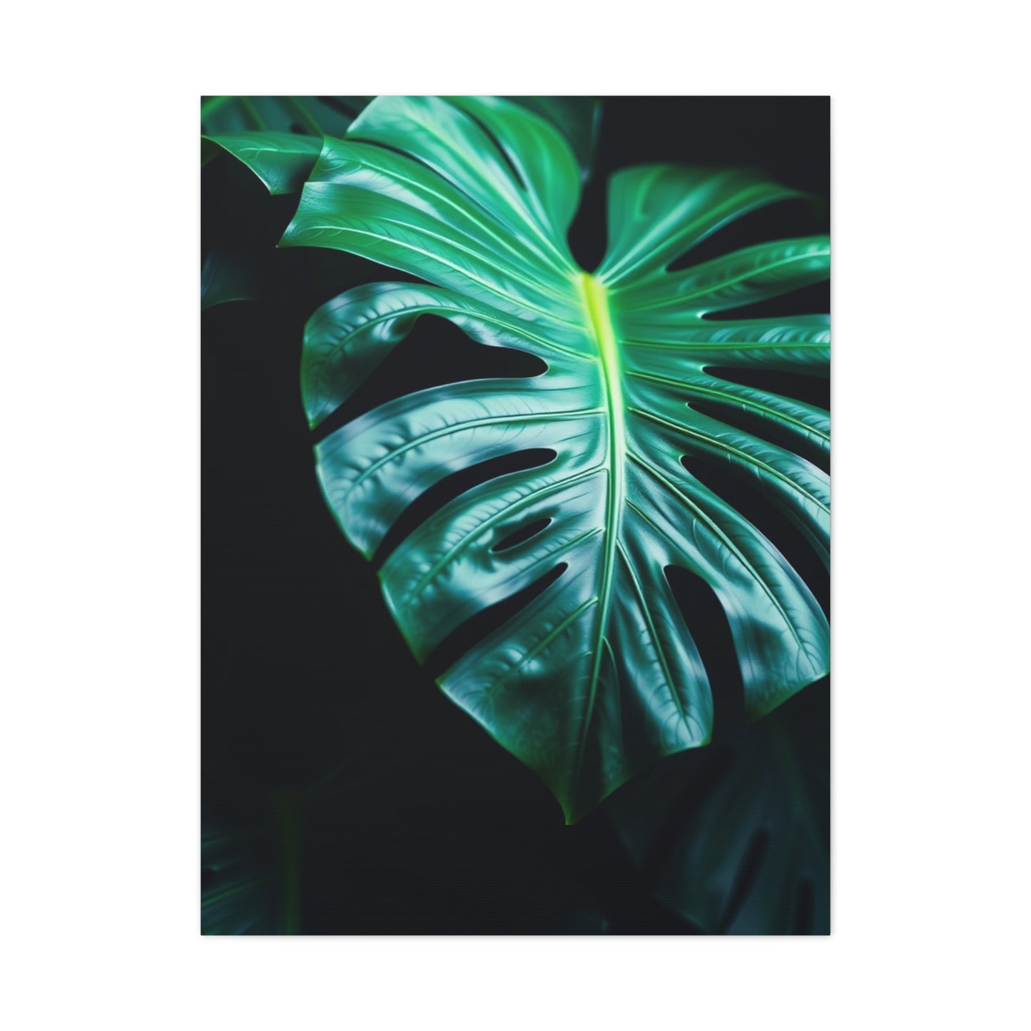 Monstera Plant Art Luxury Canvas Wall Art & Canvas Print
