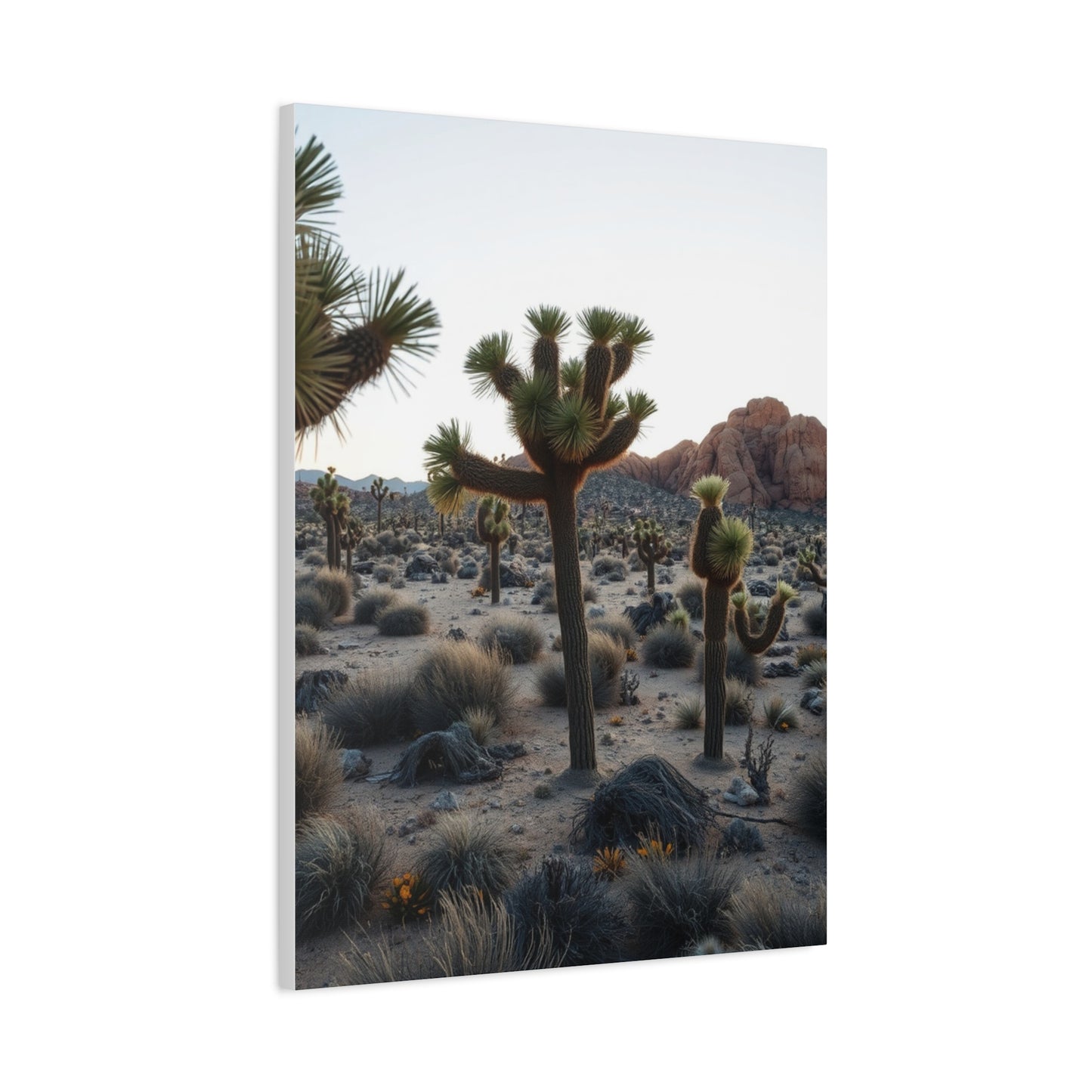 Joshua Tree National Park Art Refined Canvas Wall Art & Canvas Print