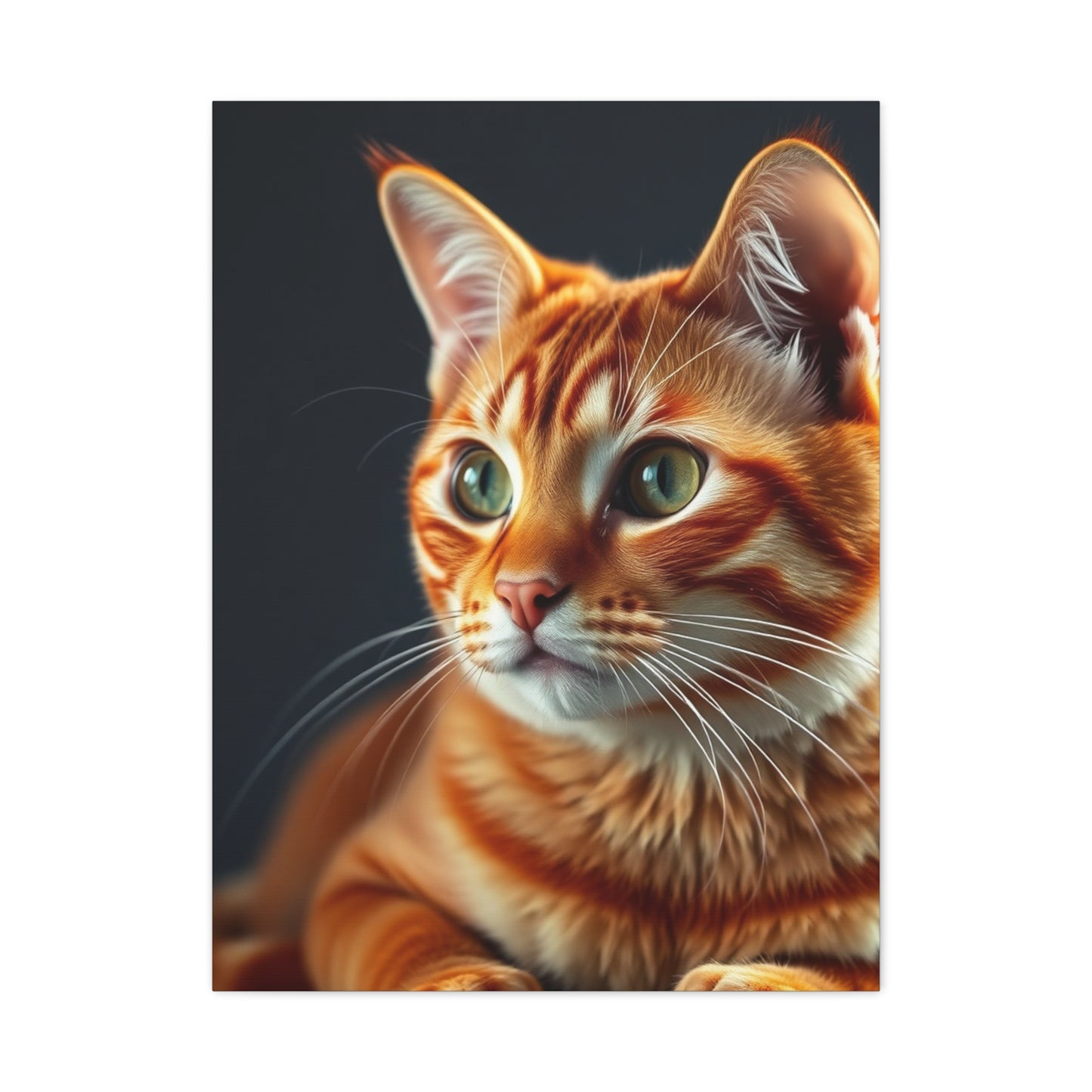 Supreme Orange Cat Art Collection Wall Art & Canvas Print