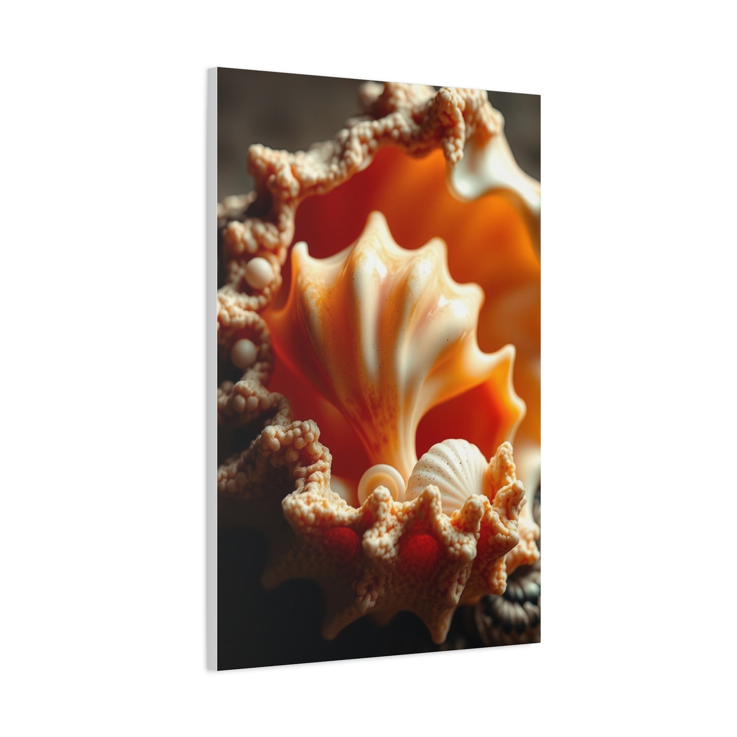 Supreme Shells Art Collection Wall Art & Canvas Print