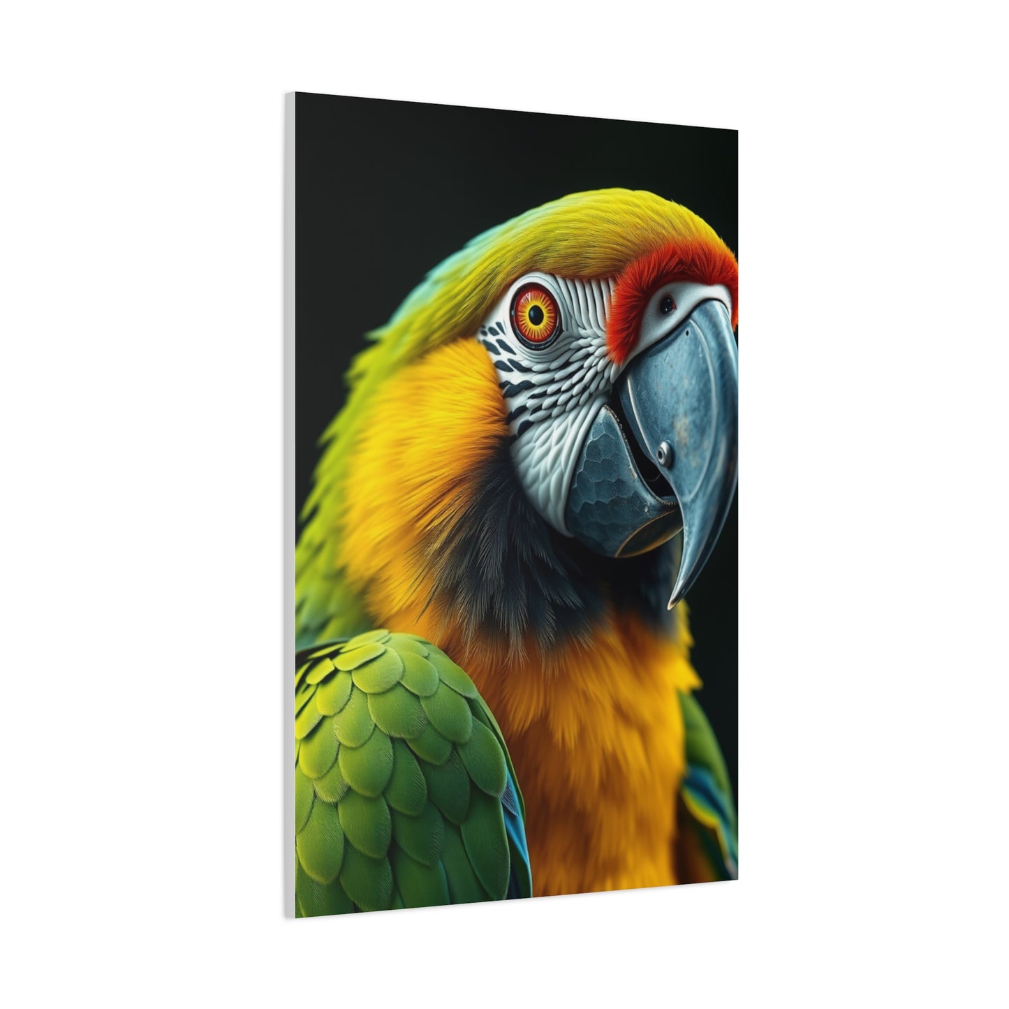 Elite Parrot Art Vision Wall Art & Canvas Print