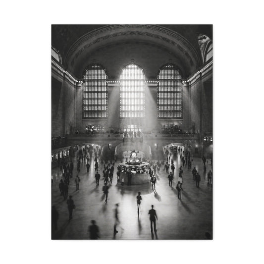 Grand Central Light & Motion Study Wall Art & Canvas Print