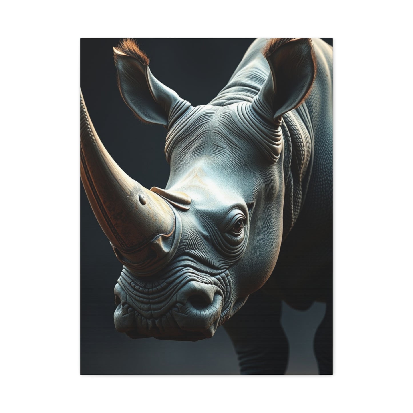 Rhinoceros Art Supreme Gallery Wall Art & Canvas Print