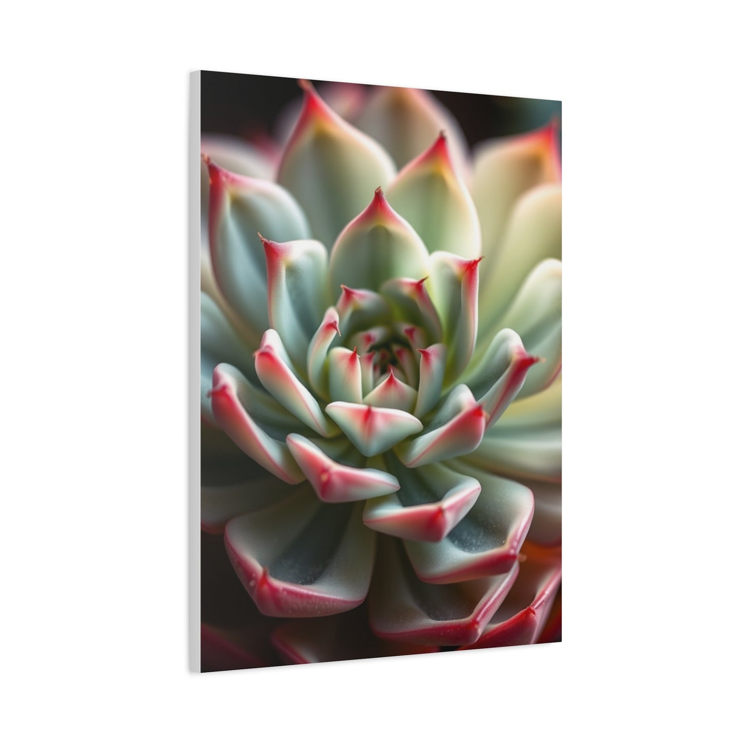 Succulent Art Refined Canvas Wall Art & Canvas Print