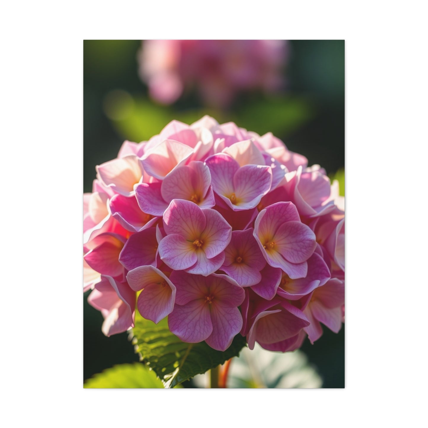Hydrangea Flower Art Luxury Canvas Wall Art & Canvas Print