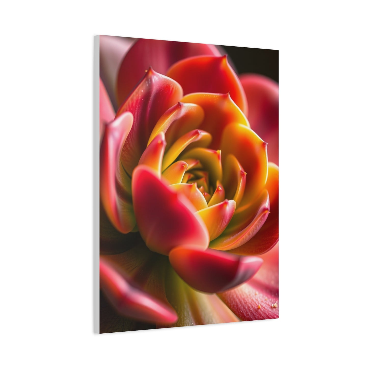Supreme Succulent Art Collection Wall Art & Canvas Print