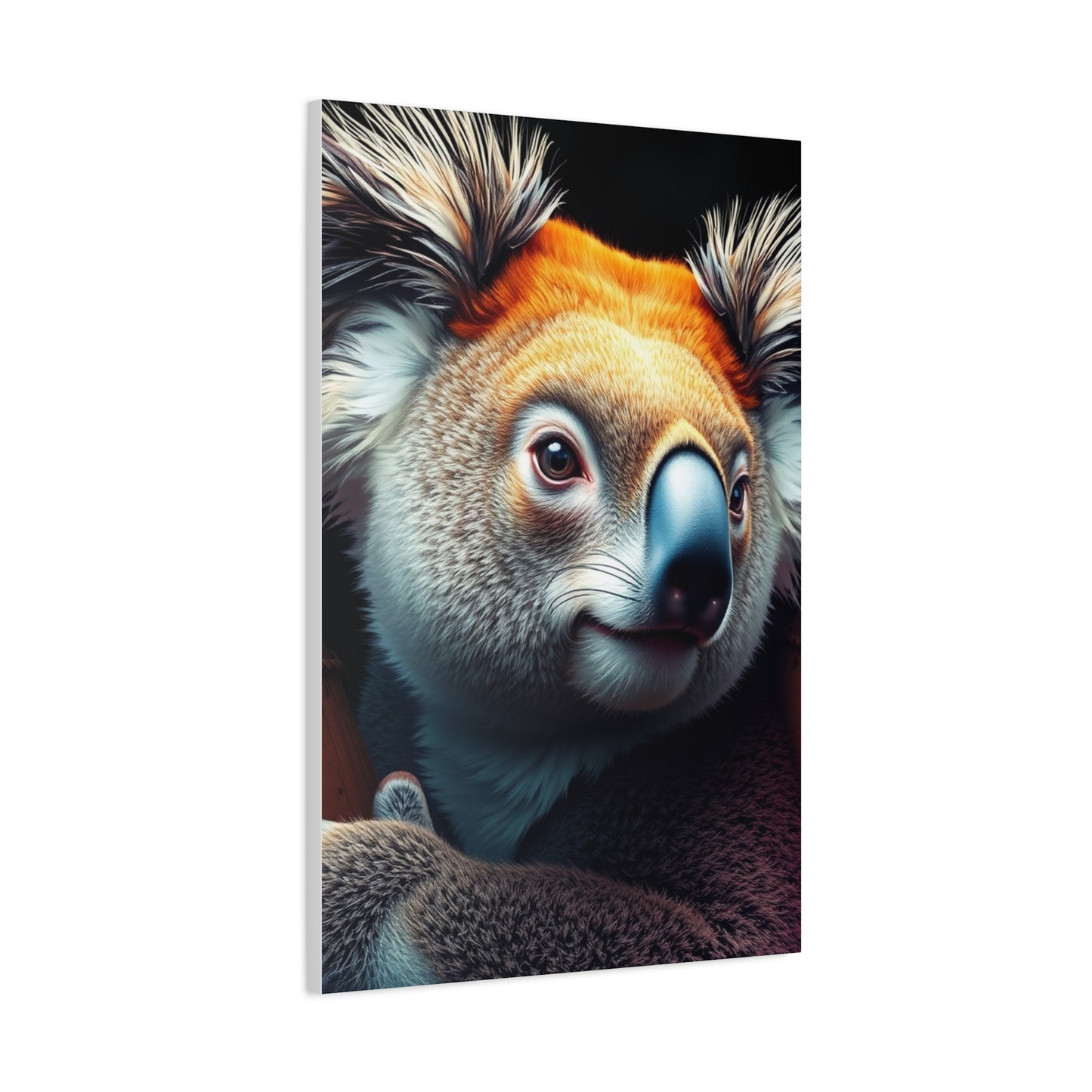 Elite Koala Art Vision Wall Art & Canvas Print