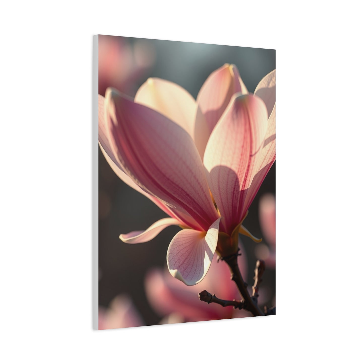 Supreme Magnolia Art Collection Wall Art & Canvas Print