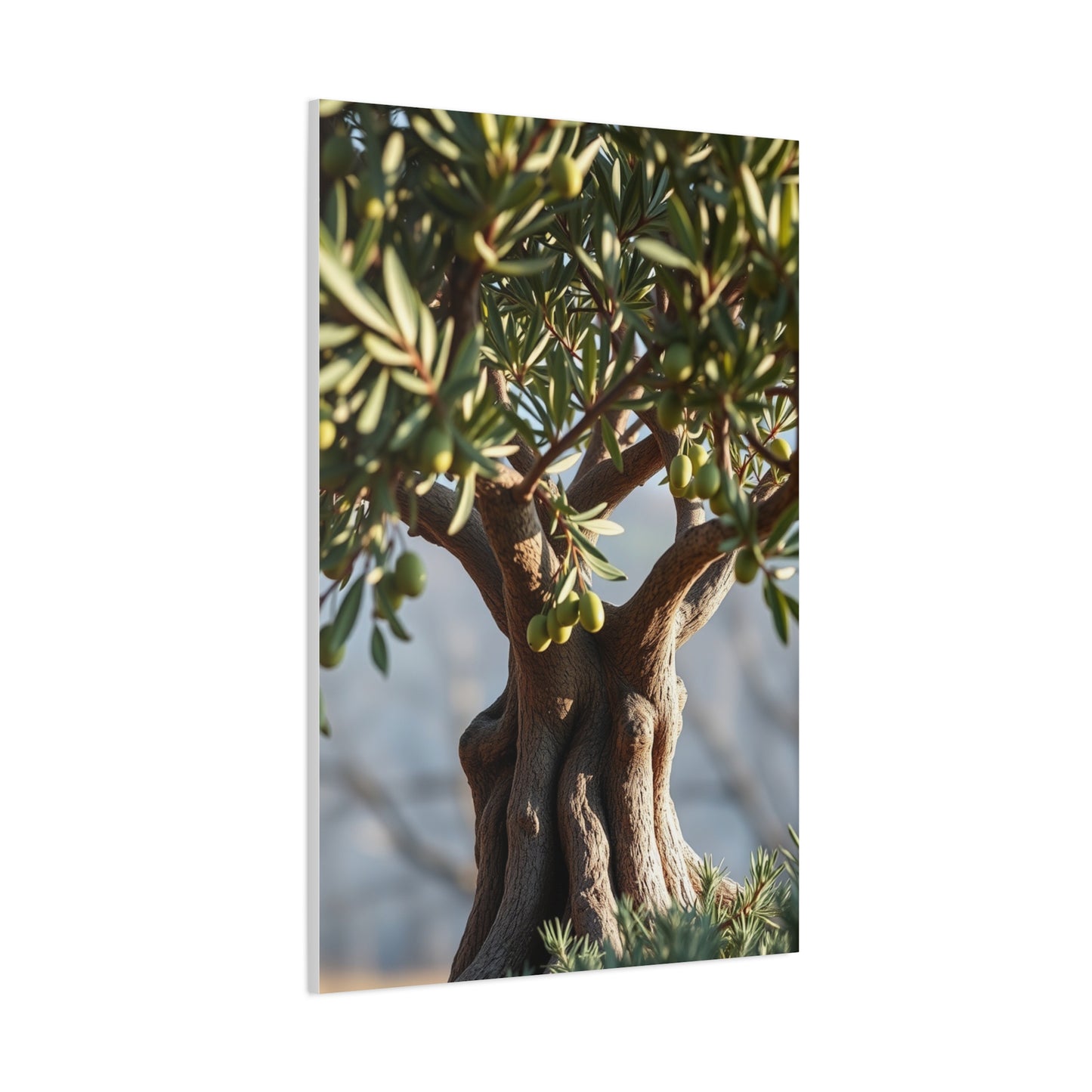 Elite Olive Tree Art Vision Wall Art & Canvas Print