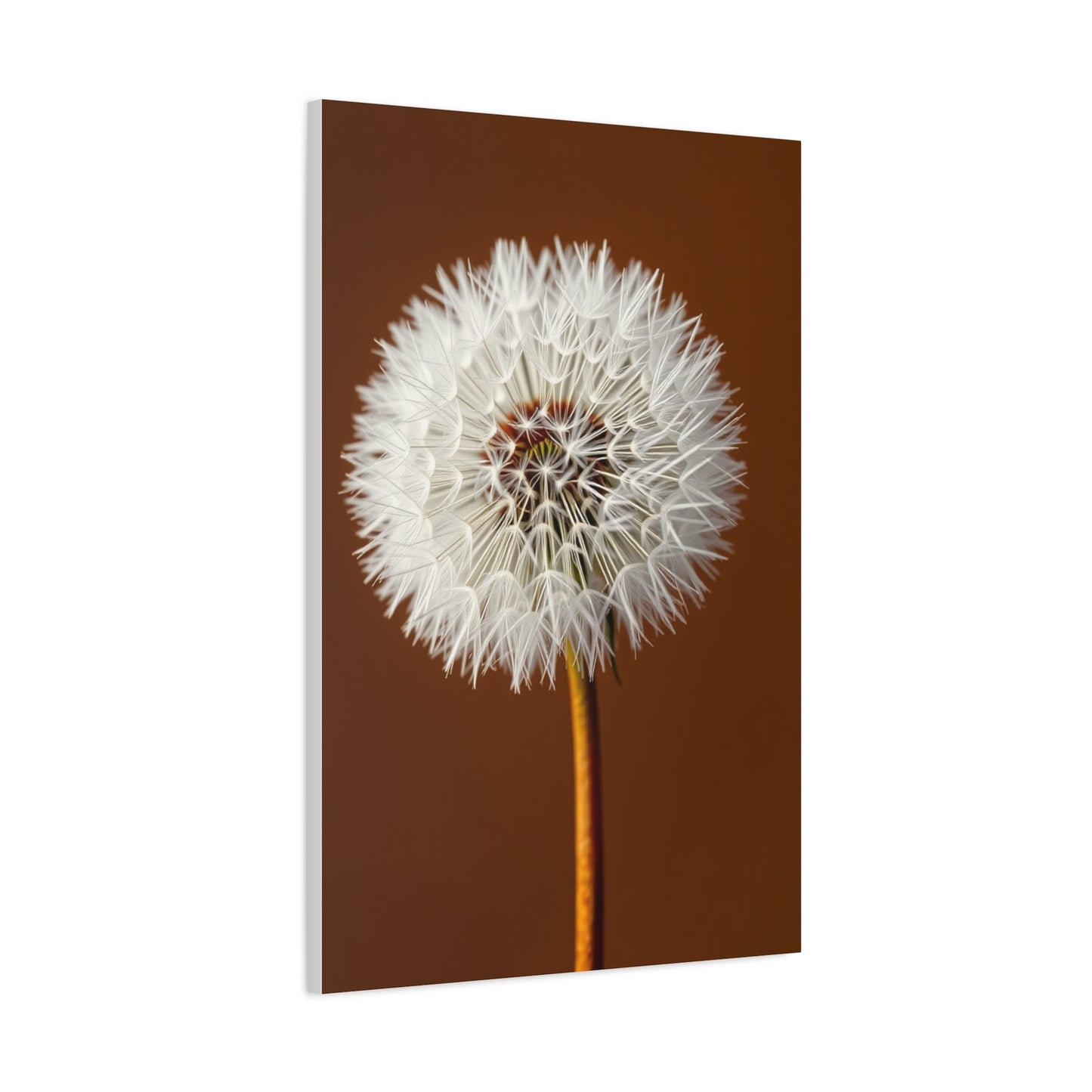 Supreme Dandelion Flower Art Collection Wall Art & Canvas Print