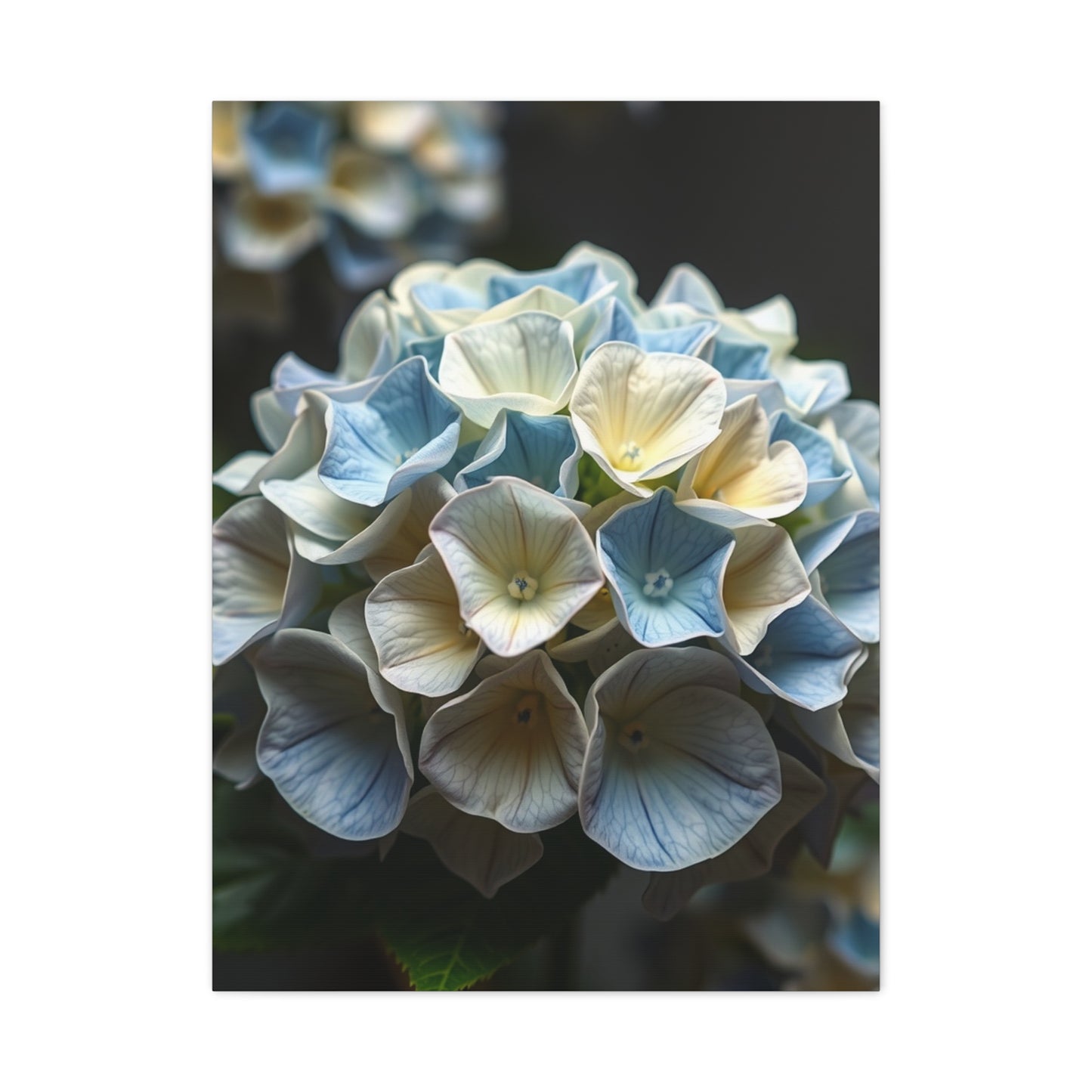 Masterpiece Hydrangea Flower Art Vision Wall Art & Canvas Print