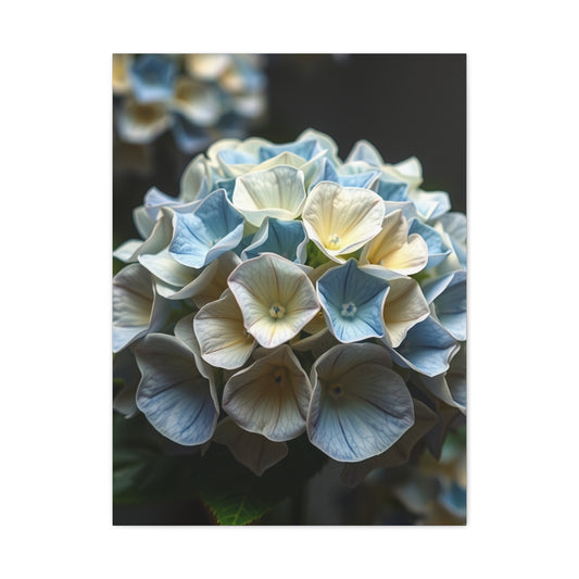 Masterpiece Hydrangea Flower Art Vision Wall Art & Canvas Print