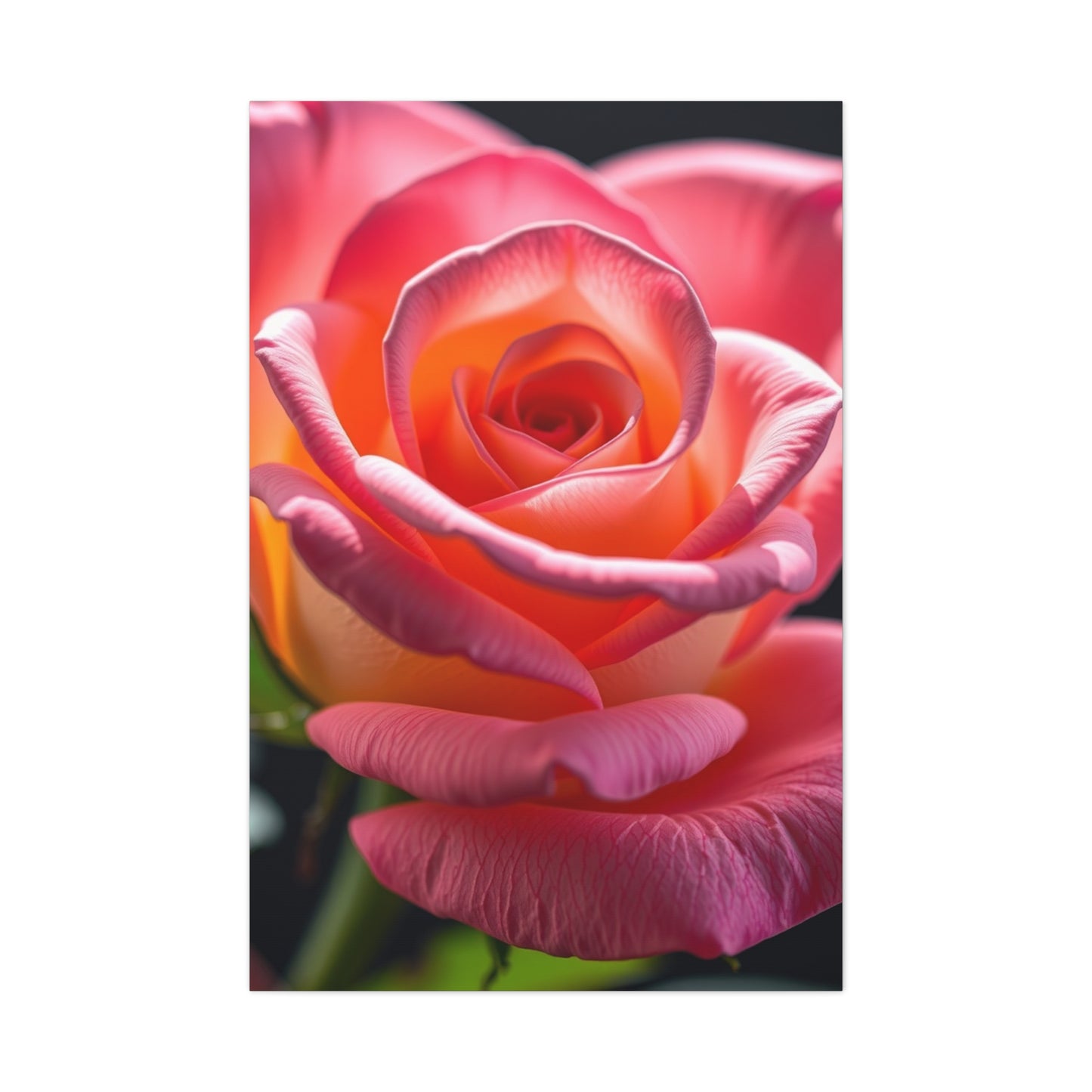 Rose Flower Art Supreme Gallery Wall Art & Canvas Print