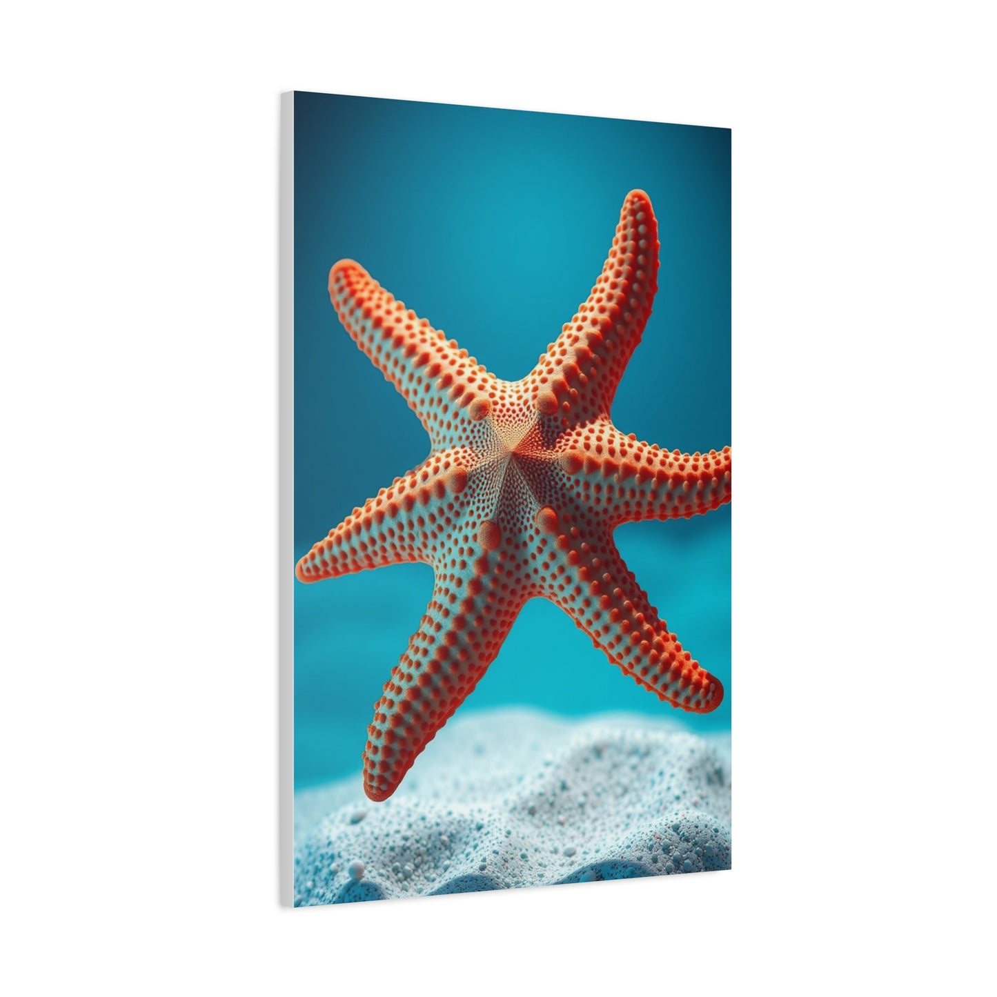 Starfish Art Supreme Gallery Wall Art & Canvas Print