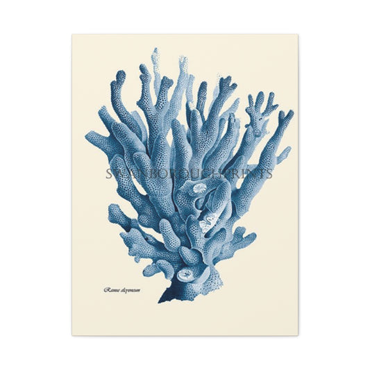 Beautiful Blue Shell Stem Poster Wall Art & Canvas Prints