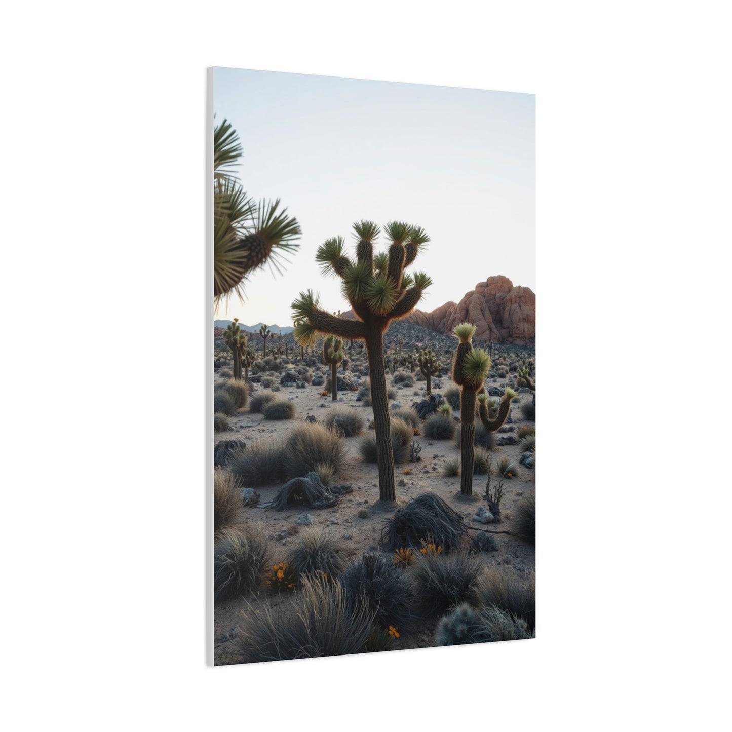 Joshua Tree National Park Art Refined Canvas Wall Art & Canvas Print