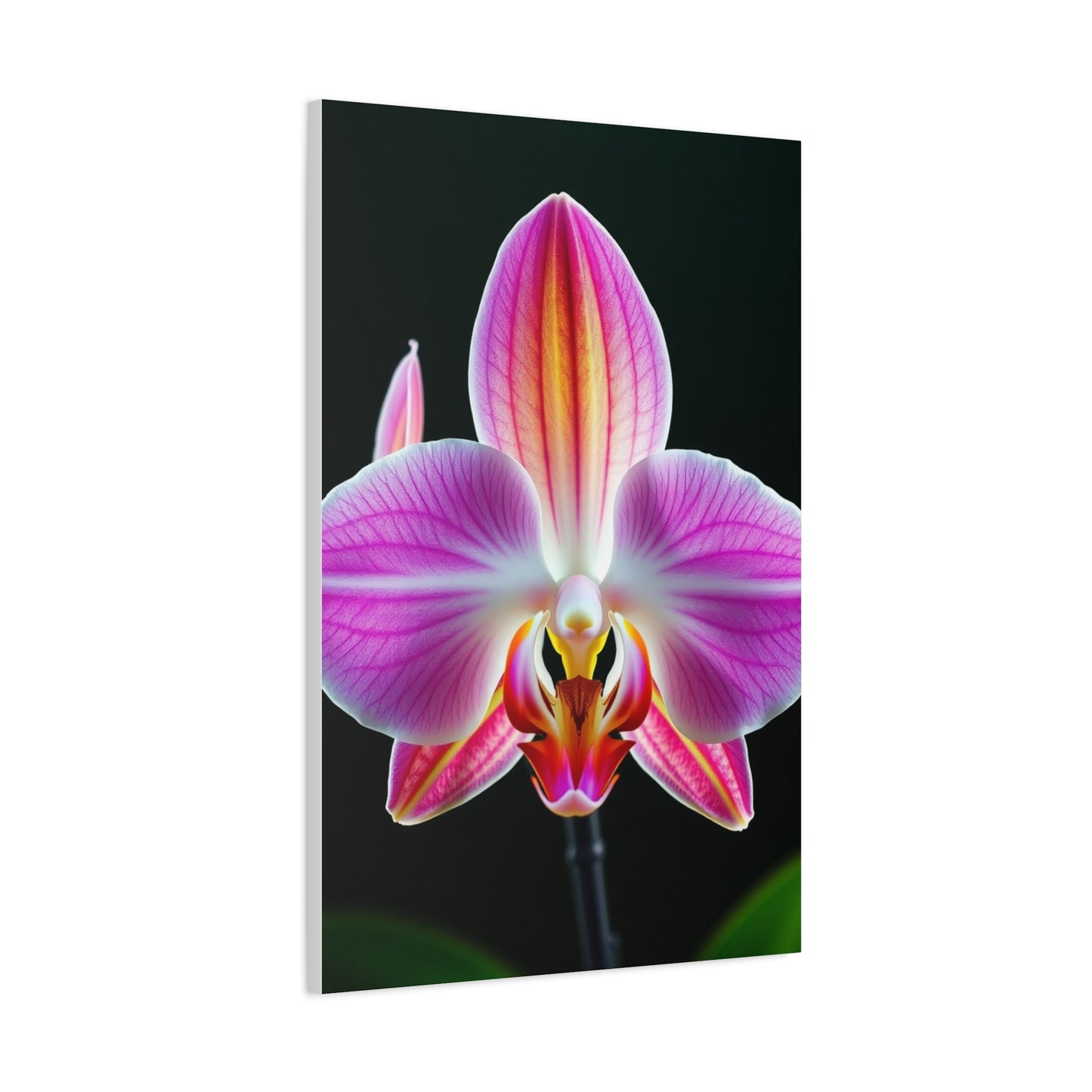 Orchid Flower Art Supreme Gallery Wall Art & Canvas Print