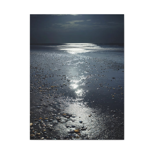 Moonlit Beach Reflections with Scattered Seashells Wall Art & Canvas Print