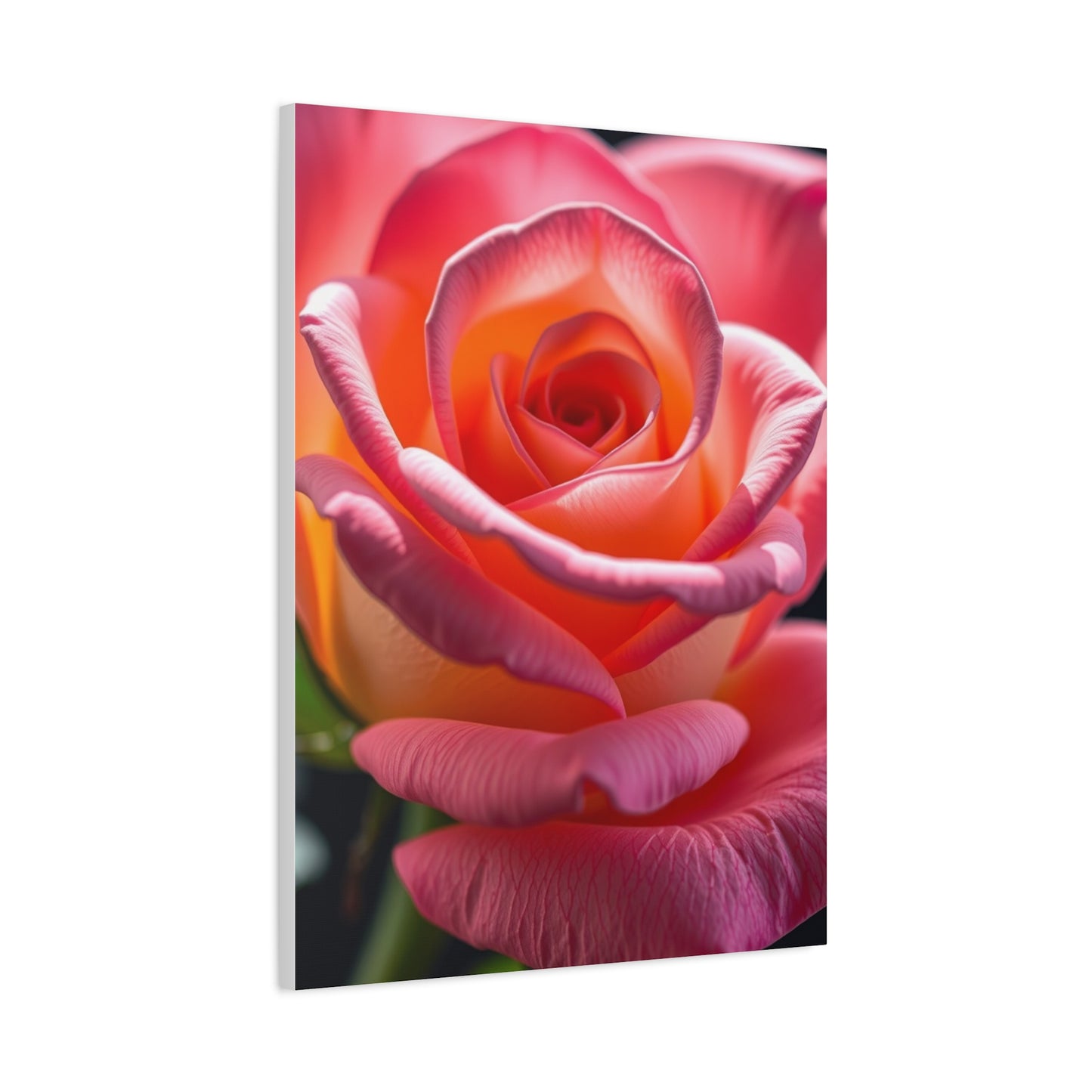Rose Flower Art Supreme Gallery Wall Art & Canvas Print