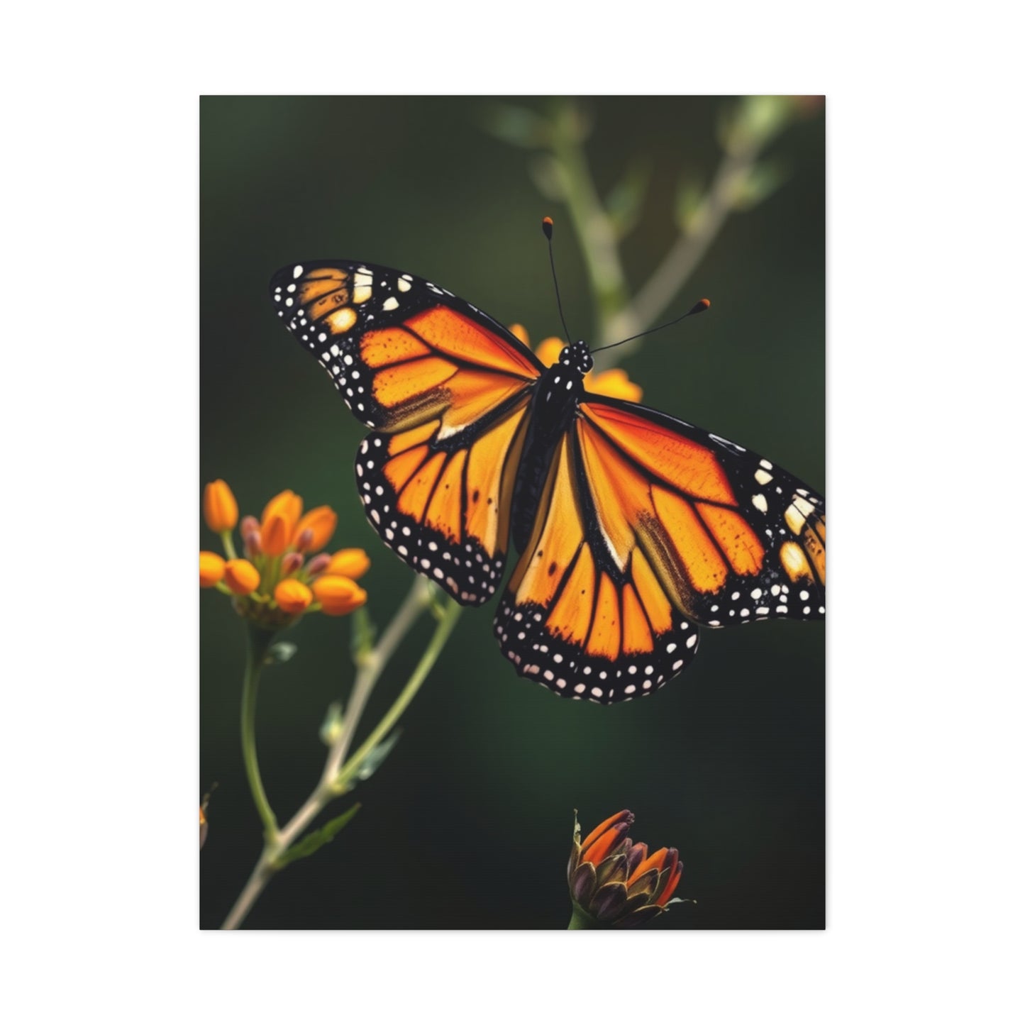 Masterpiece Monarch Butterflies Art Vision Wall Art & Canvas Print