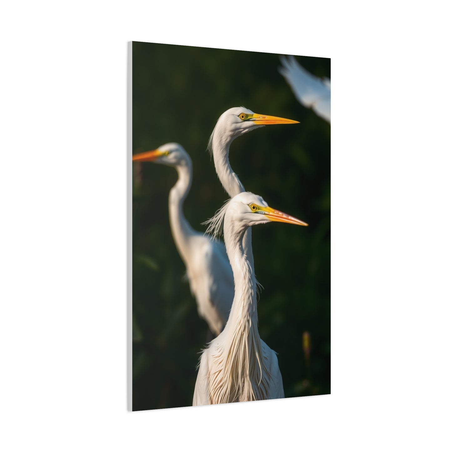 Herons and Egrets Art Supreme Gallery Wall Art & Canvas Print