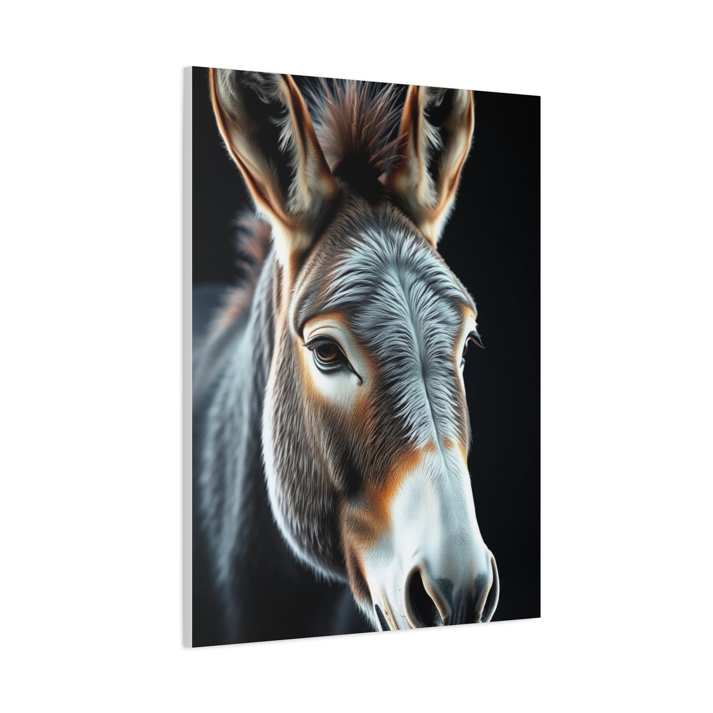 Supreme Donkey Art Collection Wall Art & Canvas Print