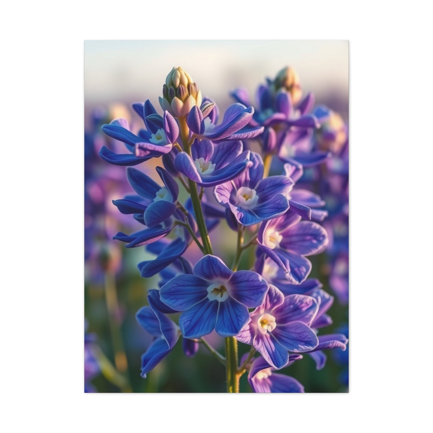 Supreme Bluebonnet Flower Art Collection Wall Art & Canvas Print