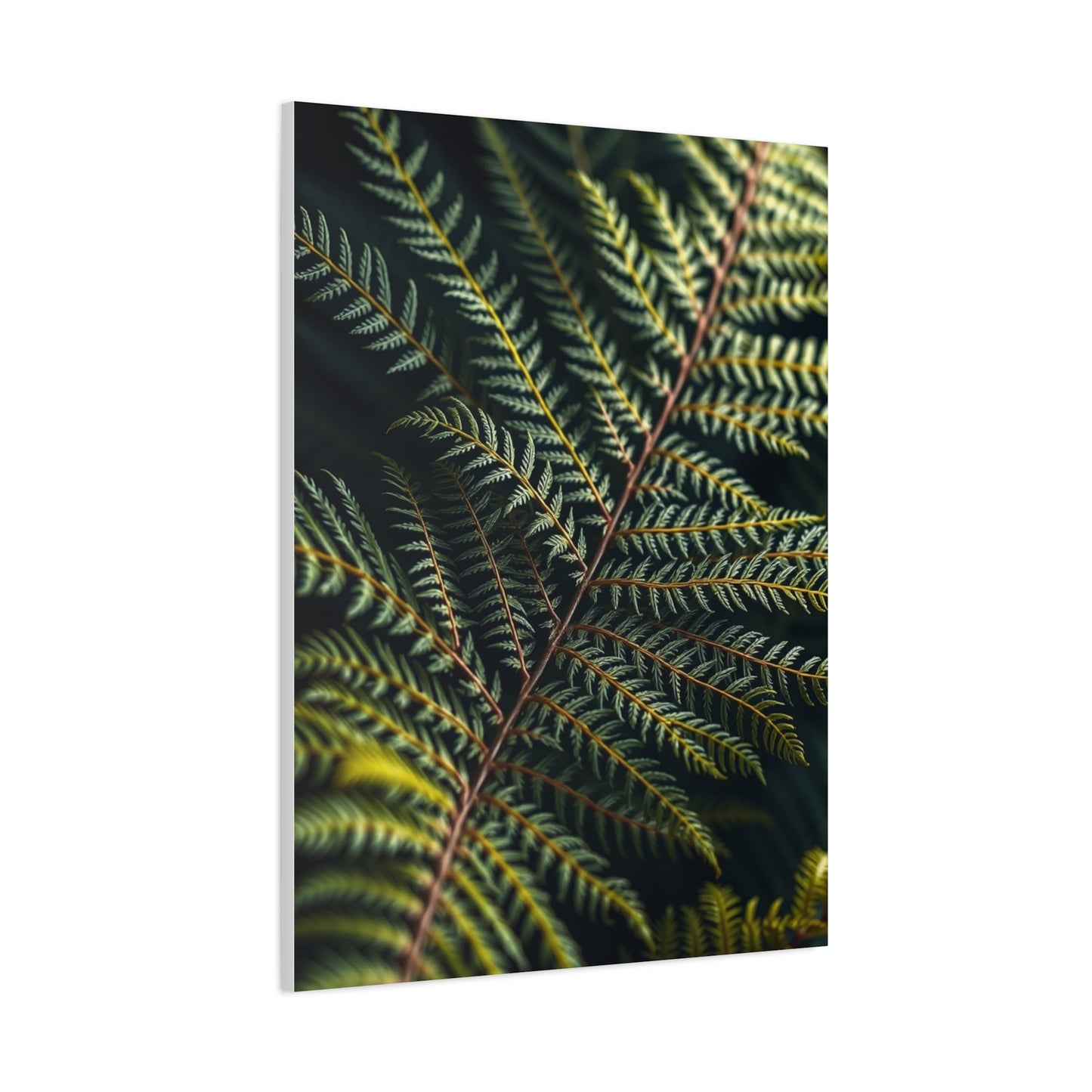 Supreme Fern Art Collection Wall Art & Canvas Print