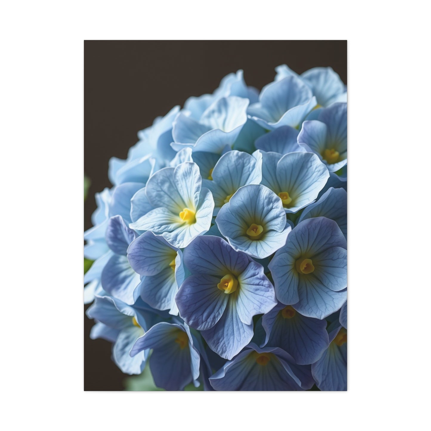 Hydrangea Flower Art Refined Canvas Wall Art & Canvas Print