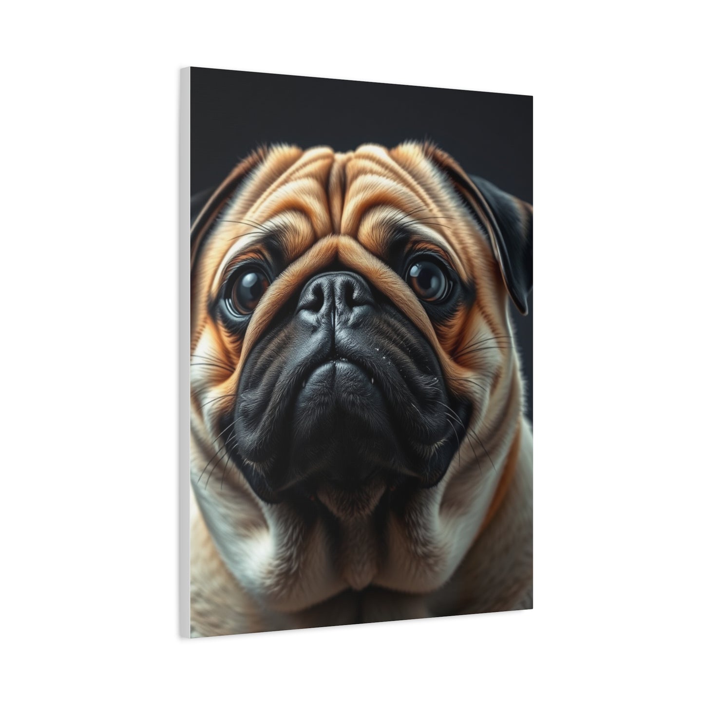 Supreme Pug Art Collection Wall Art & Canvas Print