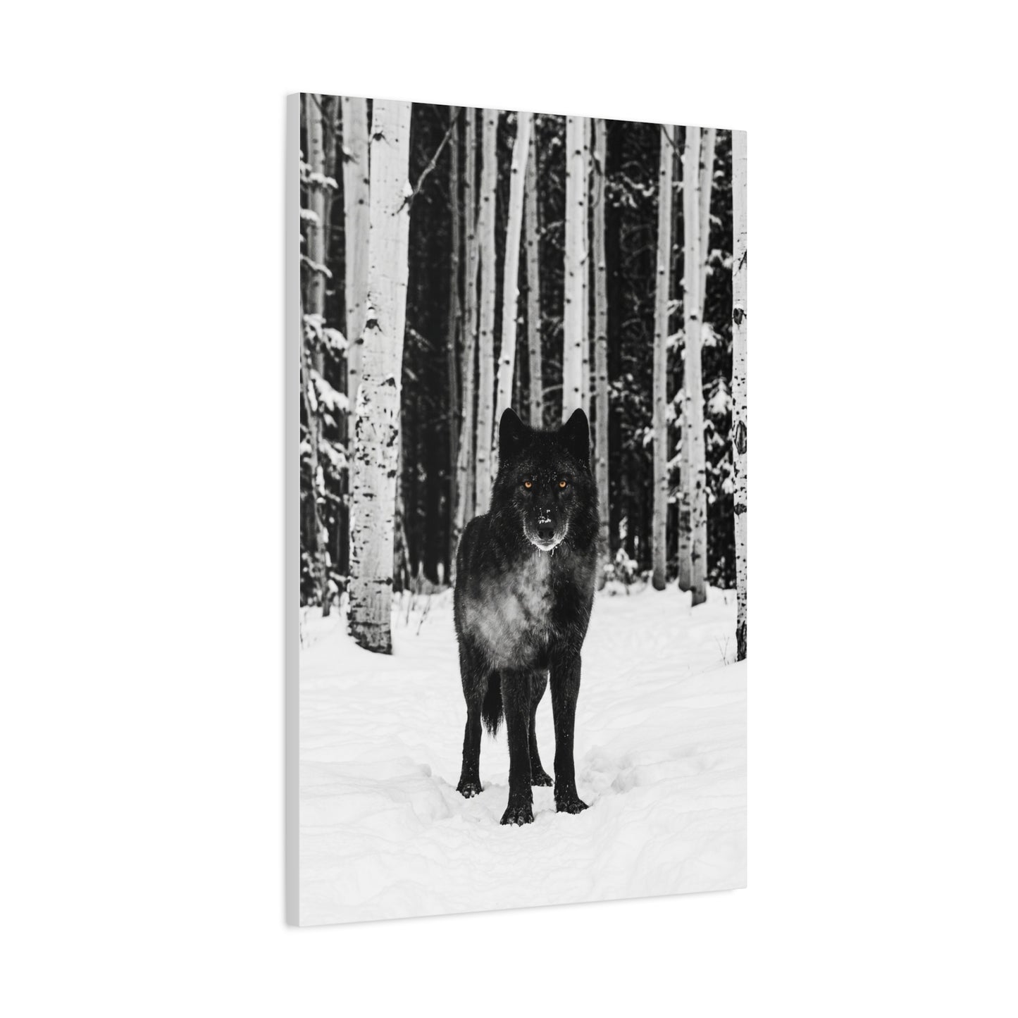 Snow Forest Black Wolf Minimal Scene Wall Art & Canvas Print