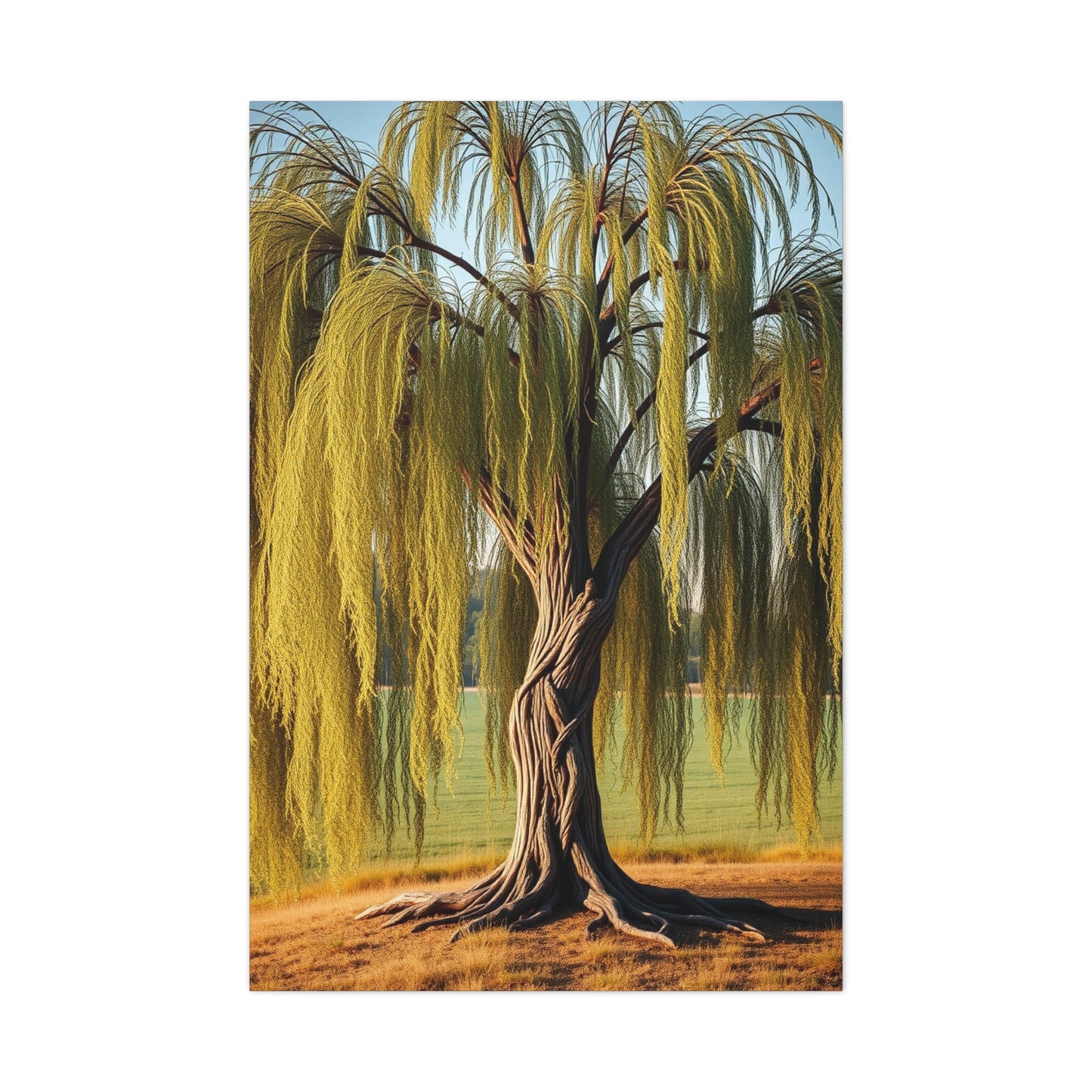 Supreme Willow Tree Art Collection Wall Art & Canvas Print