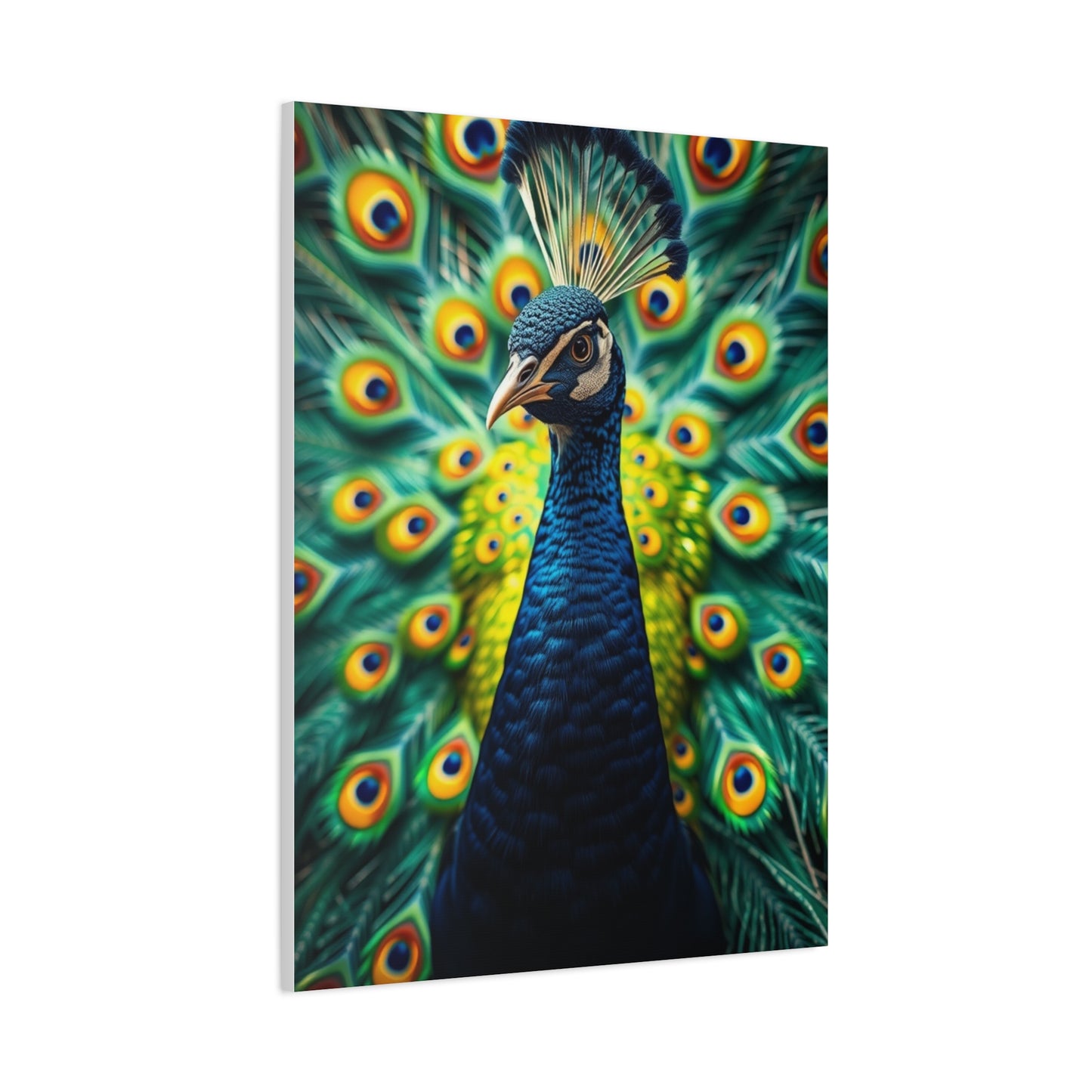 Supreme Peacock Art Collection Wall Art & Canvas Print