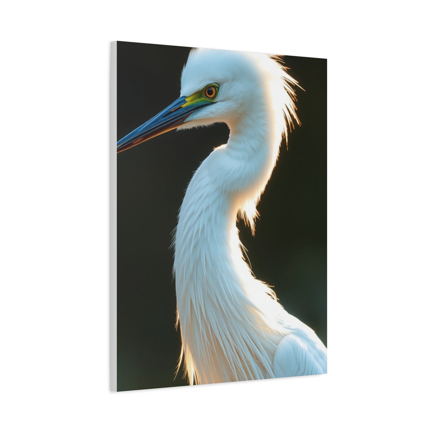 Supreme Egret Art Collection Wall Art & Canvas Print
