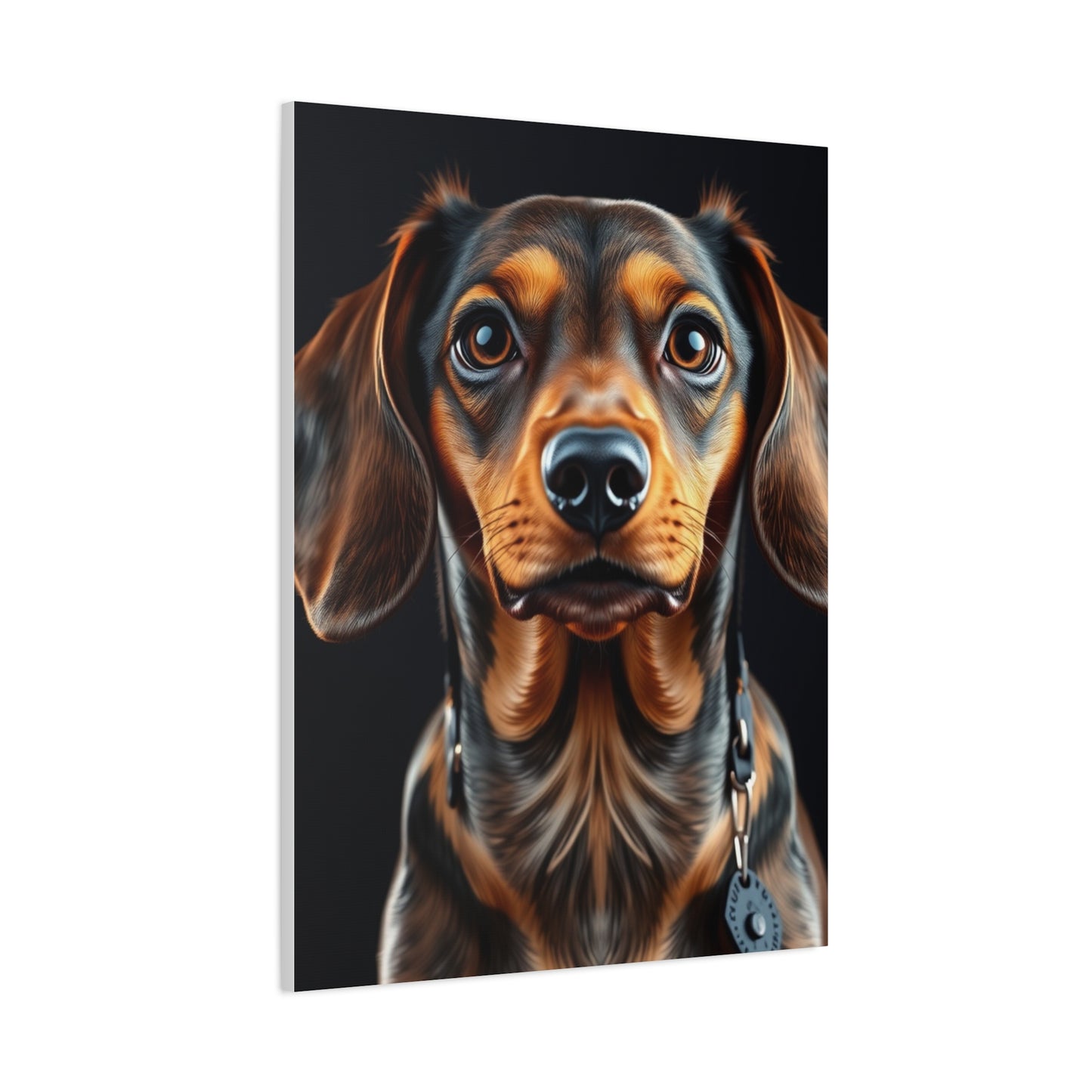 Supreme Dachshund Art Collection Wall Art & Canvas Print