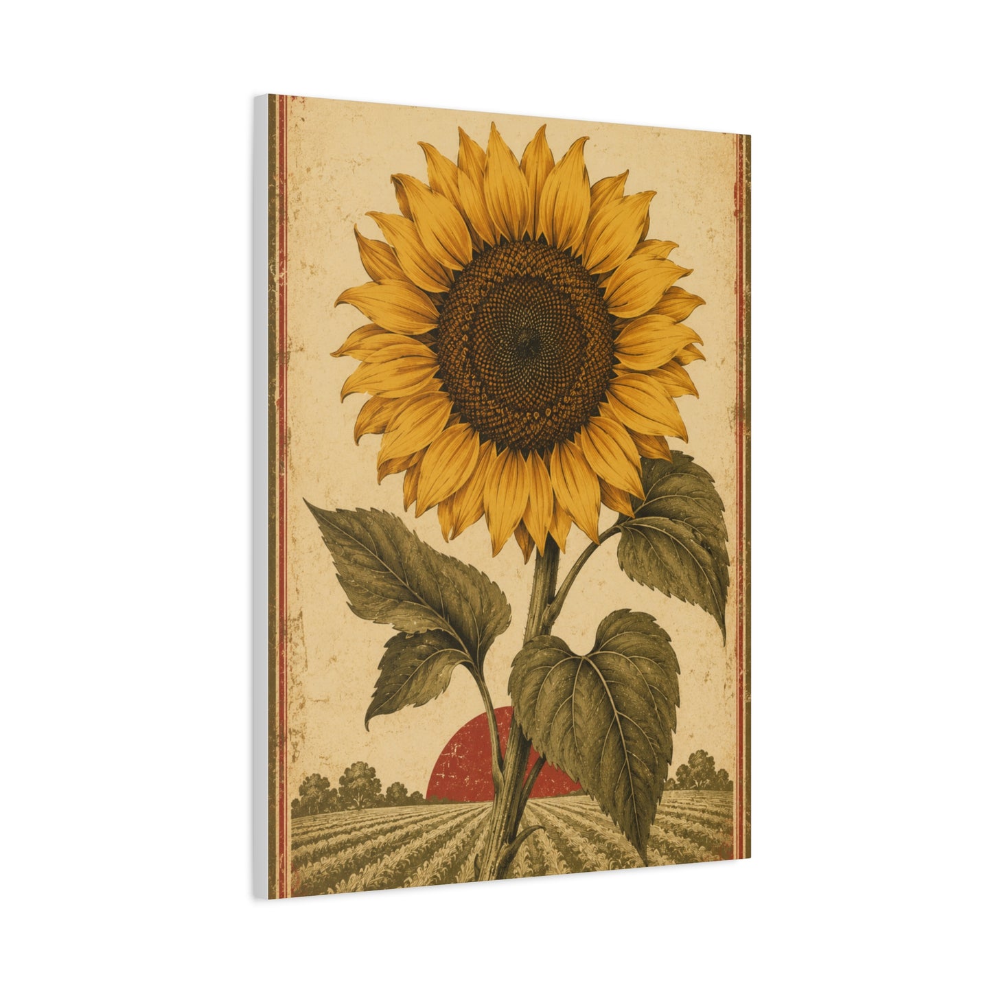 Heritage Field Sunflower Illustration Wall Art & Canvas Print
