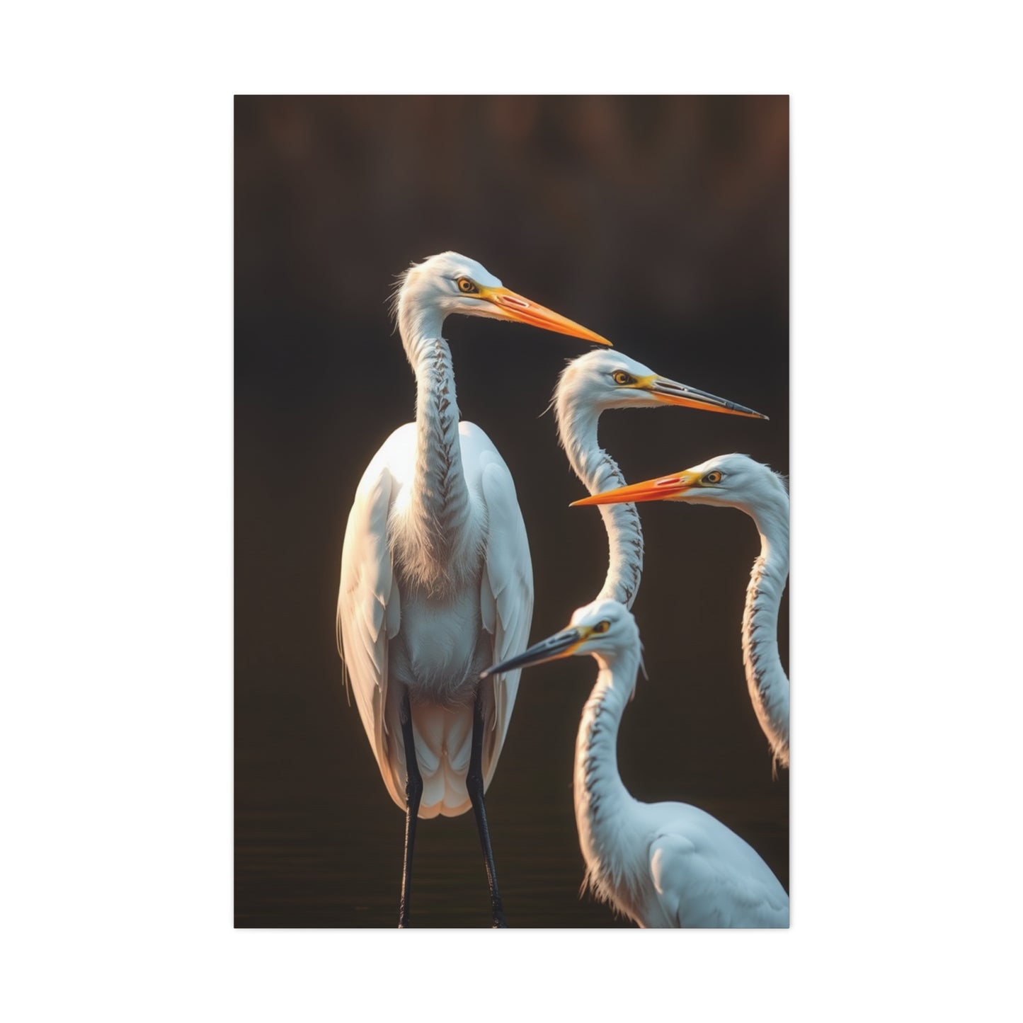 Elite Herons and Egrets Art Vision Wall Art & Canvas Print