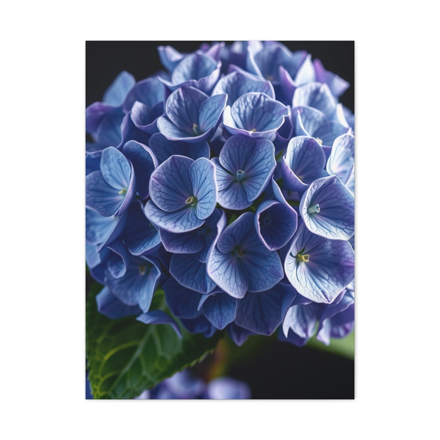 Hydrangea Flower Art Supreme Gallery Wall Art & Canvas Print