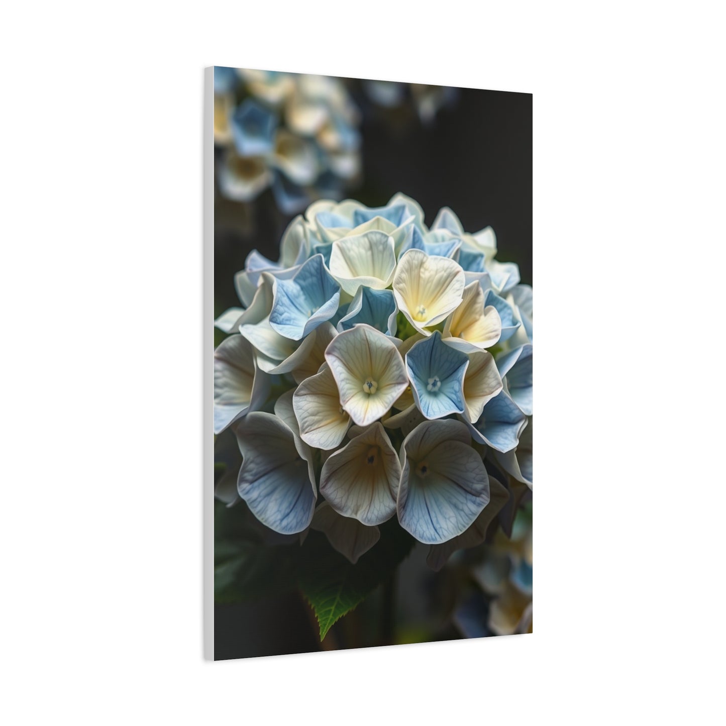 Masterpiece Hydrangea Flower Art Vision Wall Art & Canvas Print