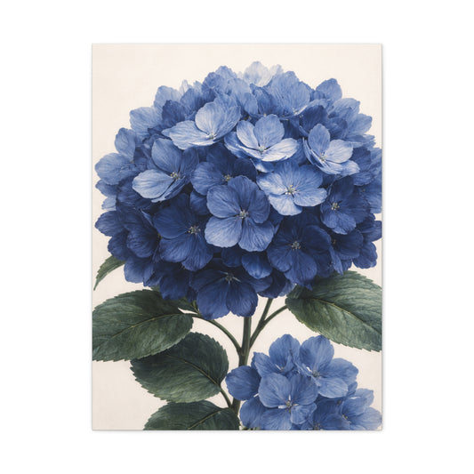 Indigo Hydrangea Bloom Wall Art & Canvas Print