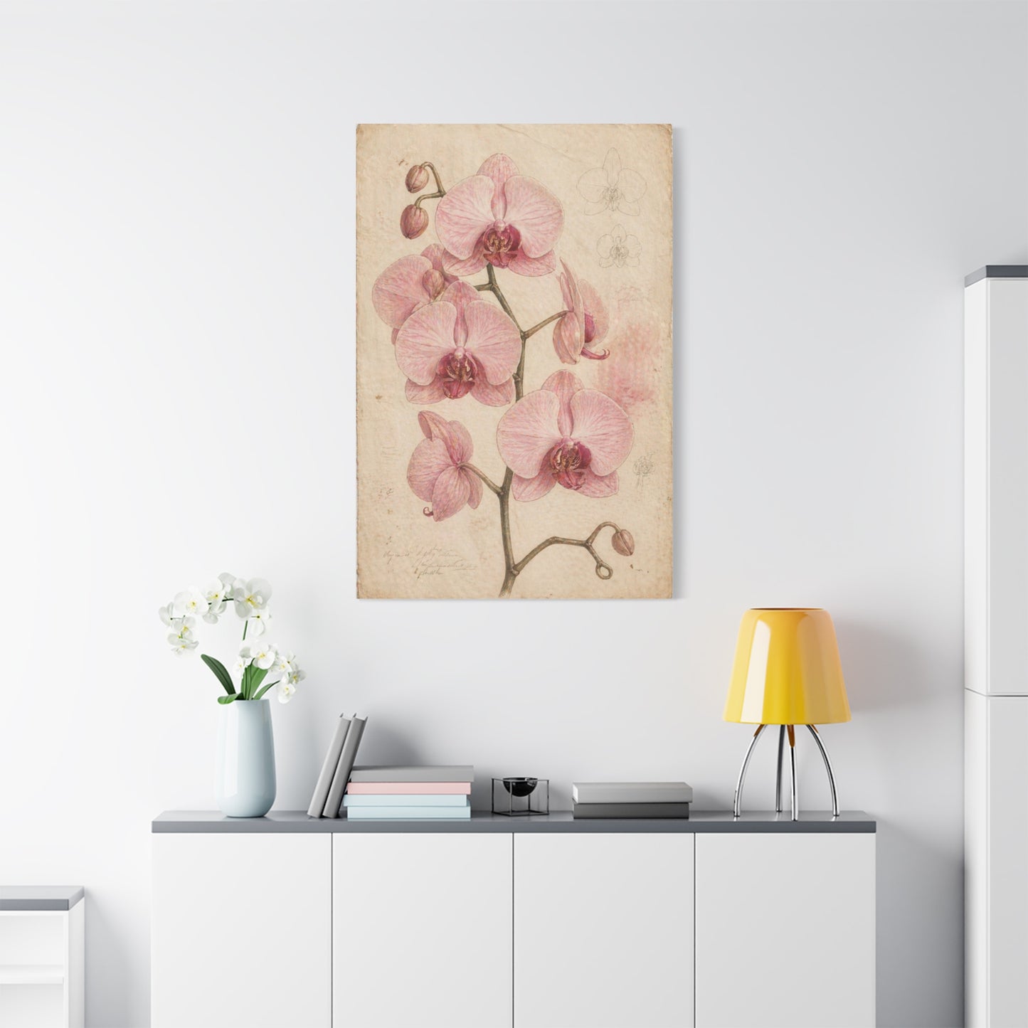 Vintage Orchid Botanical Study Wall Art & Canvas Print