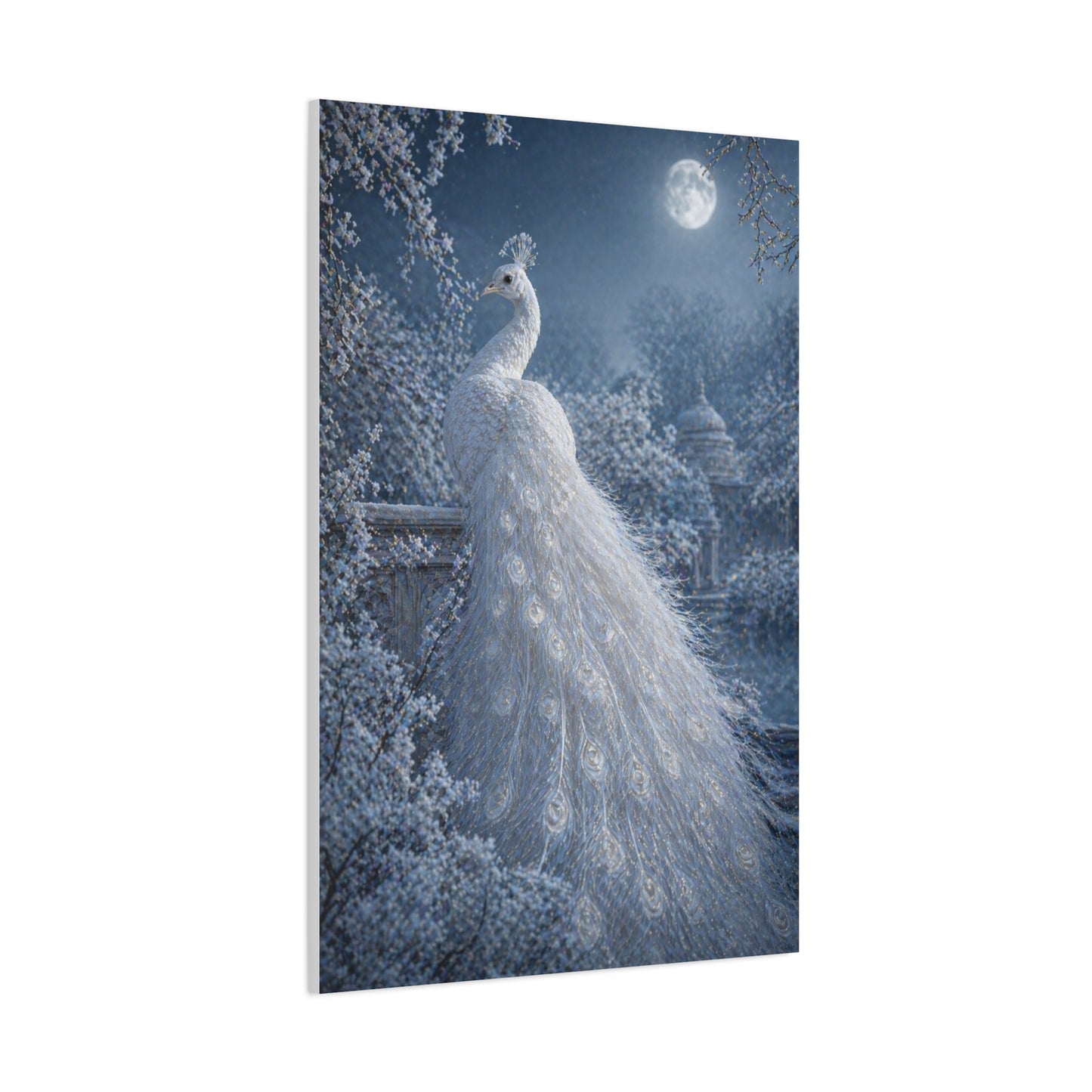 Snowy Moonlit White Peacock Wall Art & Canvas Print