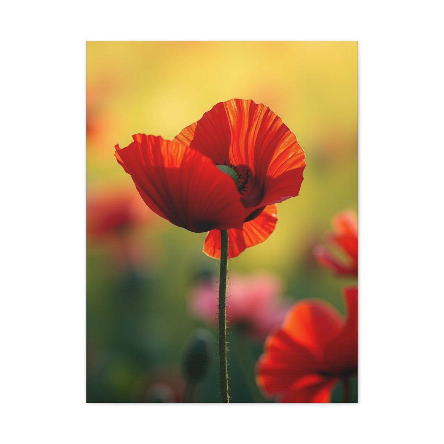 Masterpiece Poppy Flower Art Vision Wall Art & Canvas Print