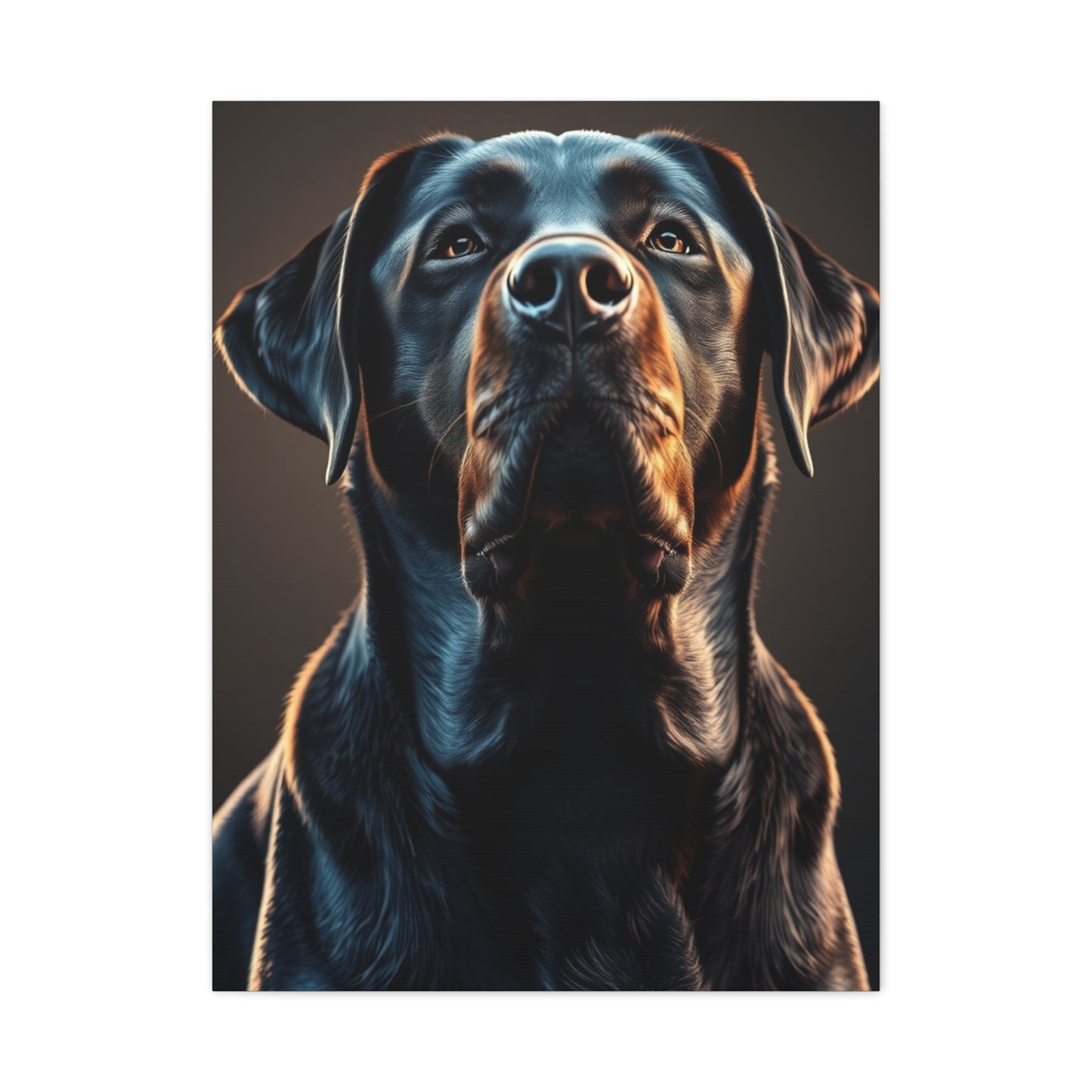 Supreme Labrador Retriever Art Collection Wall Art & Canvas Print