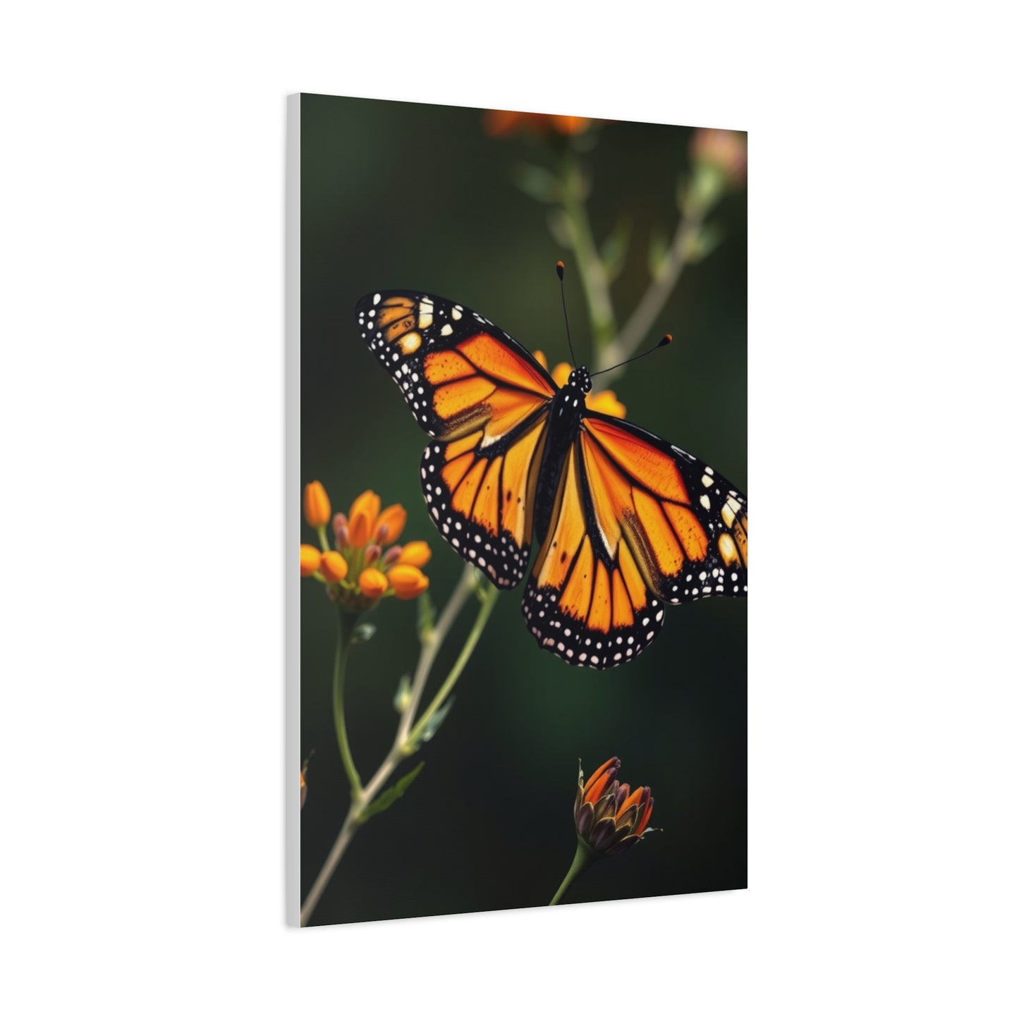Masterpiece Monarch Butterflies Art Vision Wall Art & Canvas Print